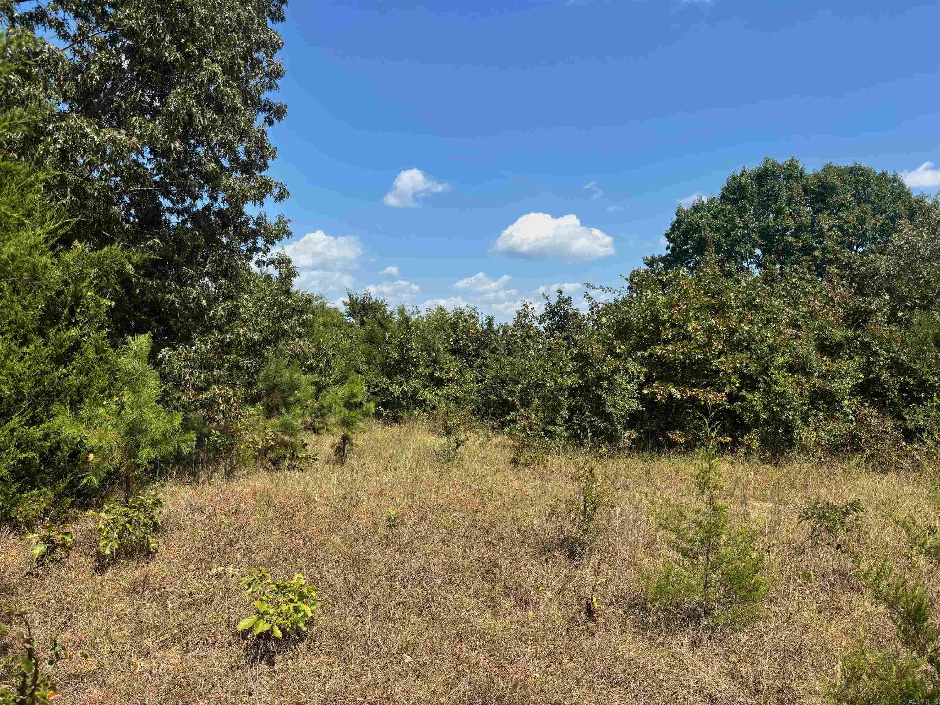 Tract 2 Little Woods  Elizabeth, AR