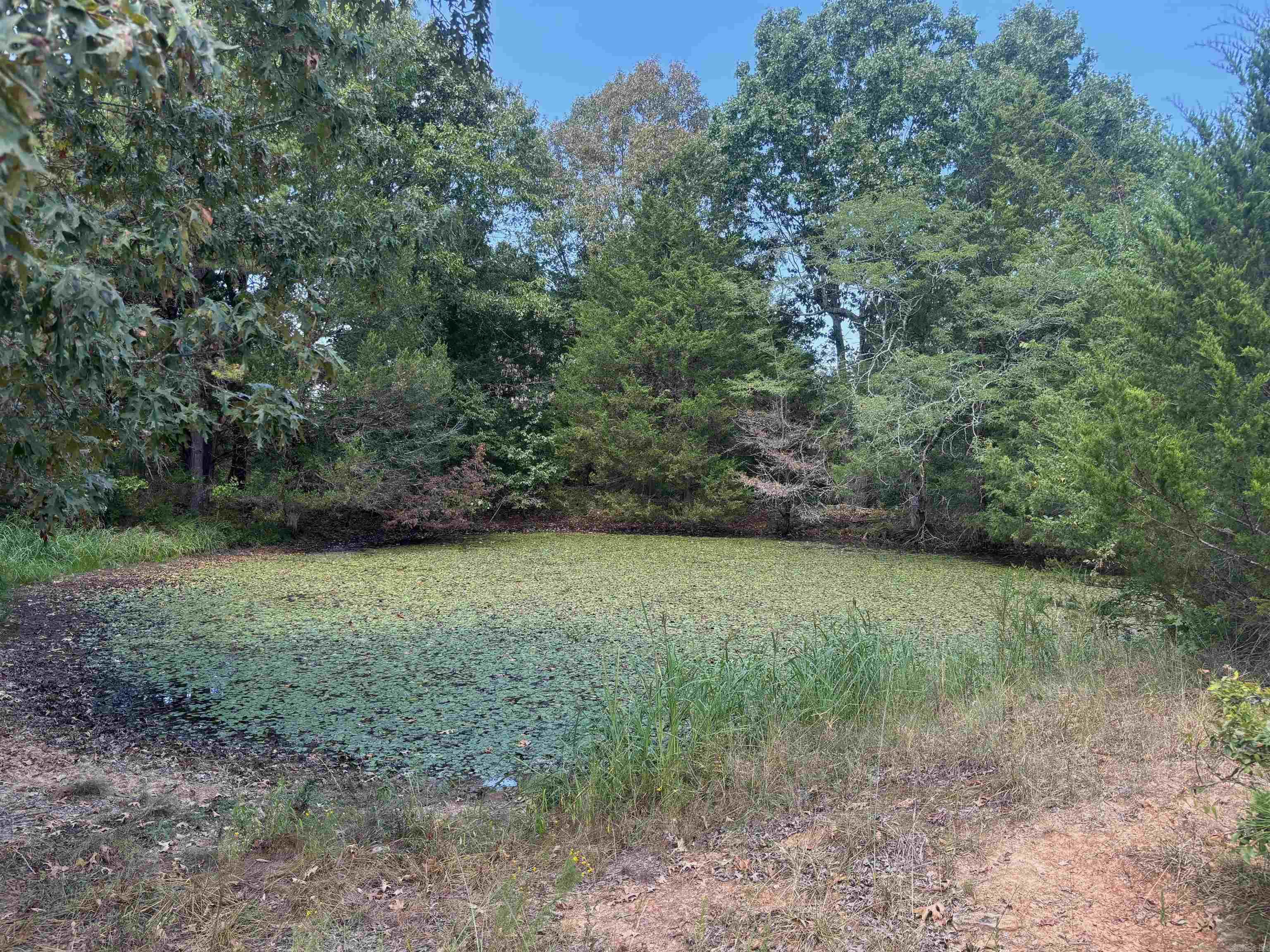 Tract 2 Little Woods  Elizabeth, AR