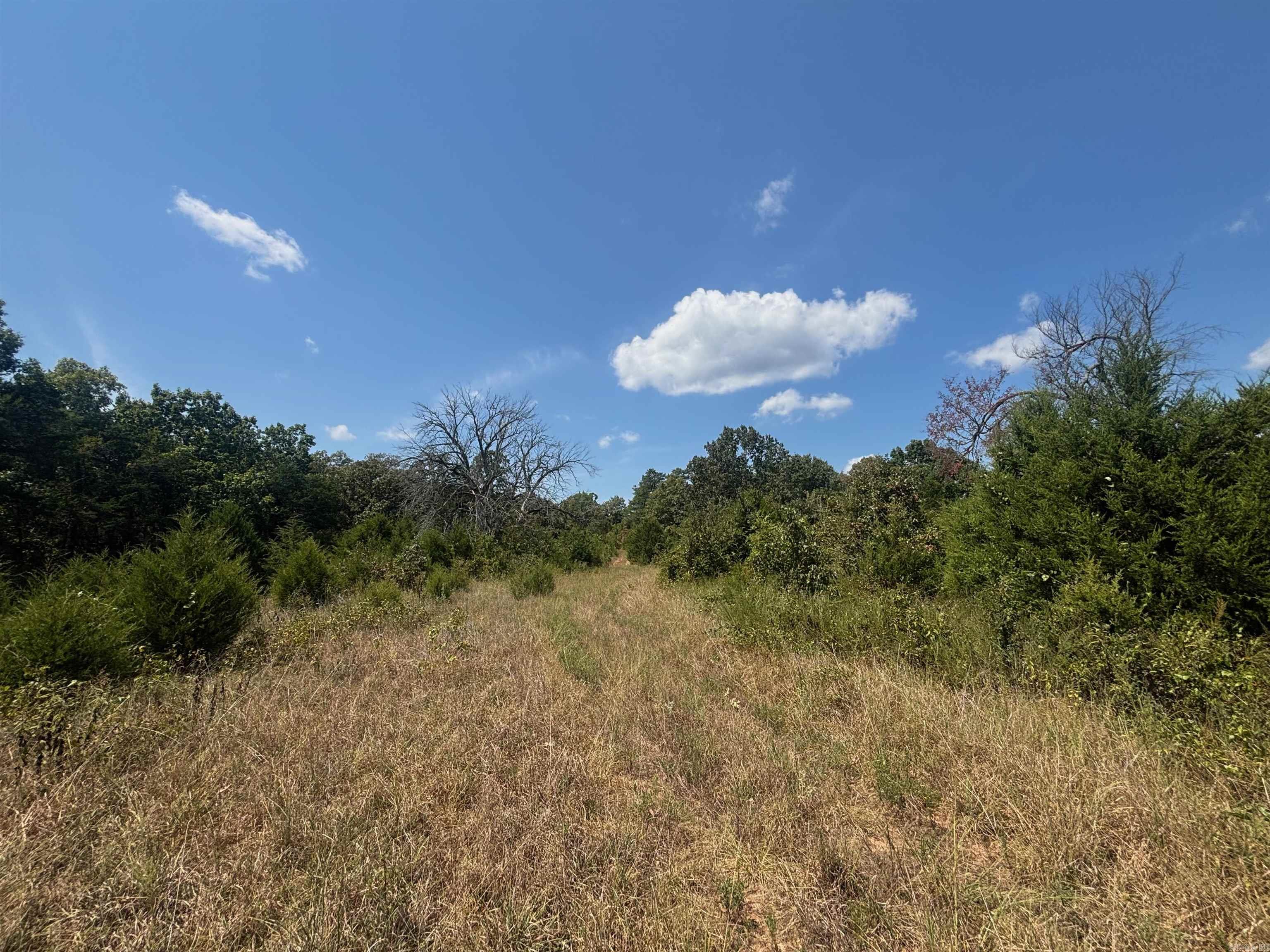 Tract 2 Little Woods  Elizabeth, AR