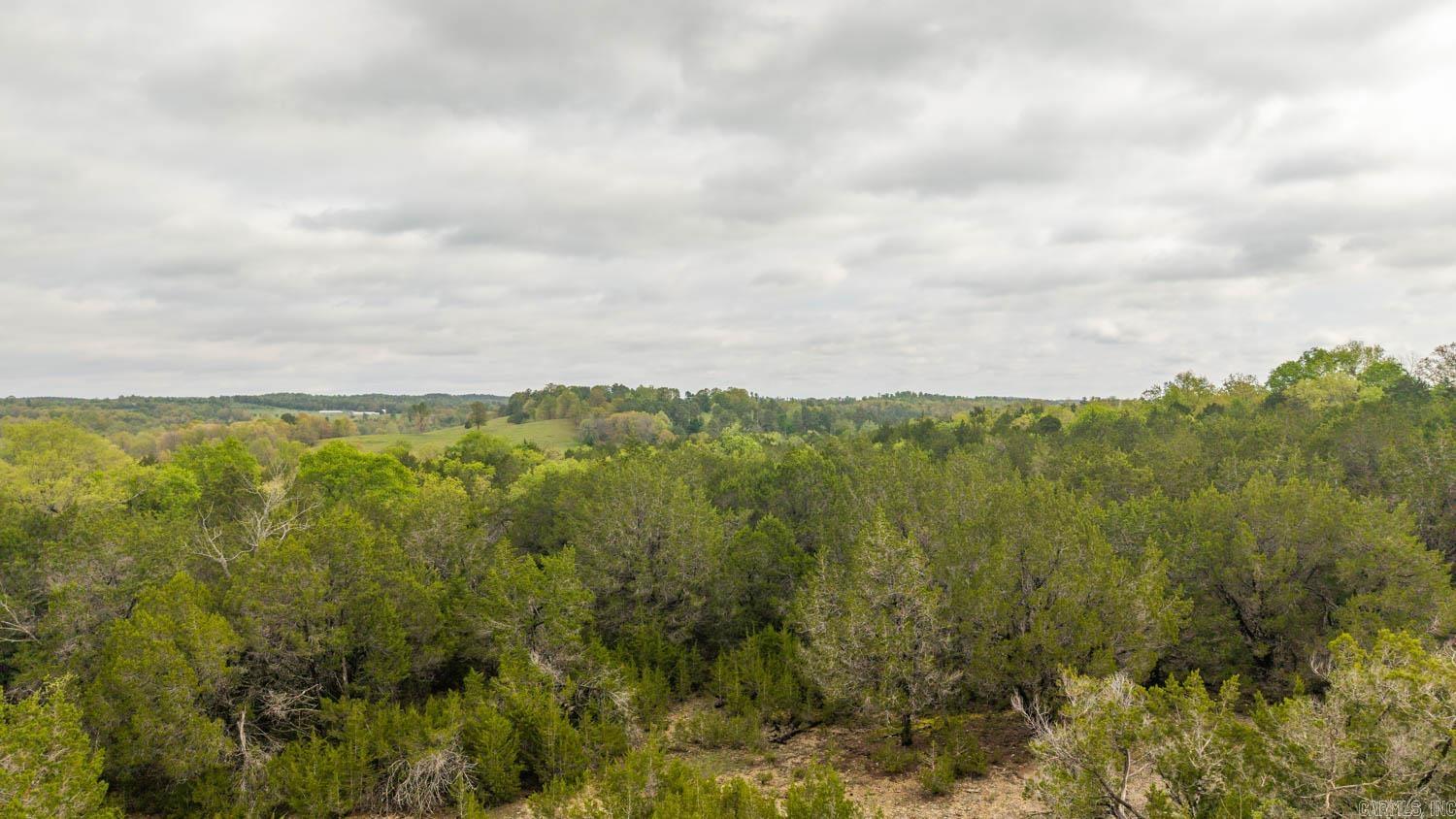 Tract 3 Little Woods  Elizabeth, AR