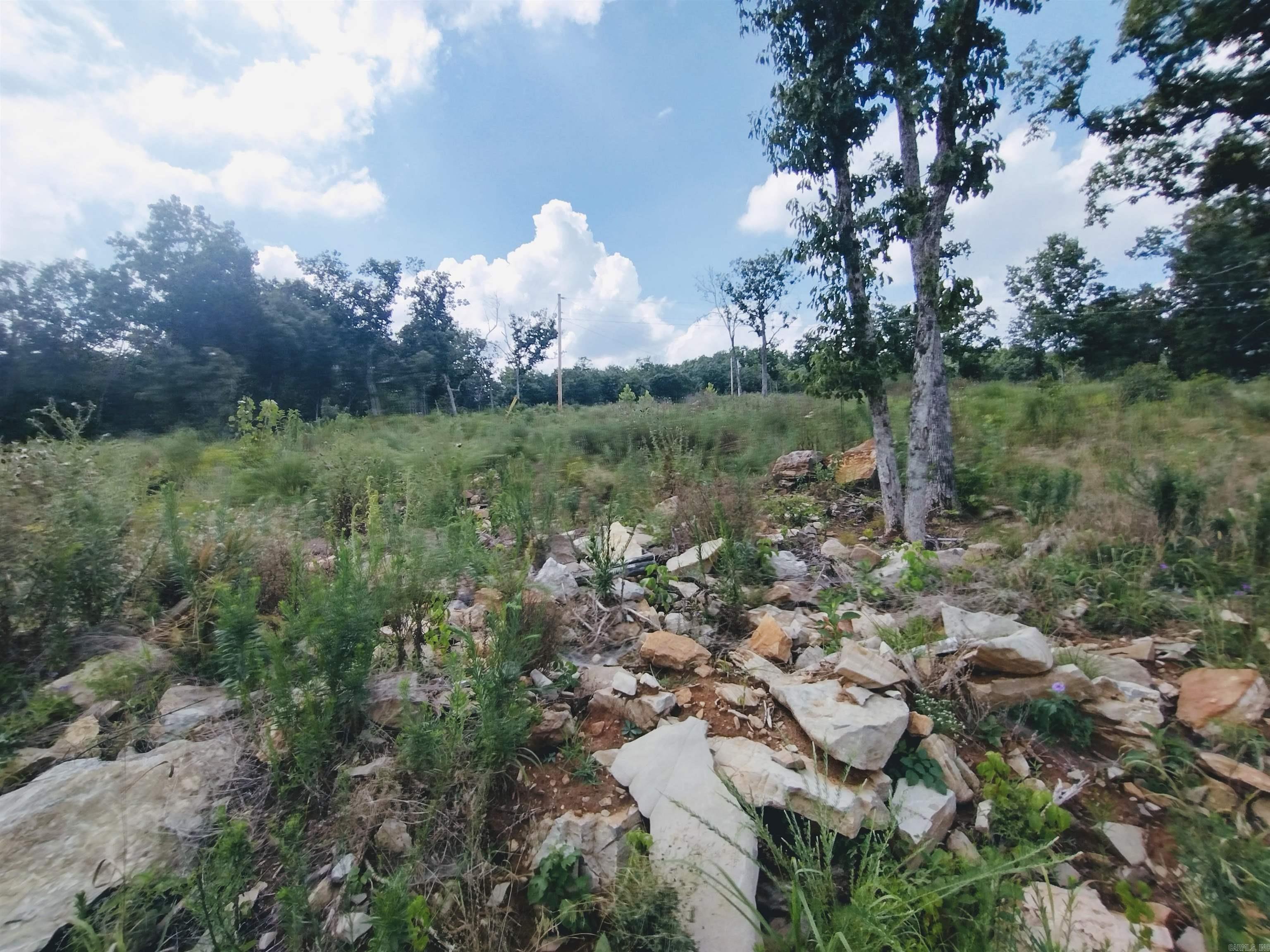 675 Ridge Top Rd  Melbourne, AR