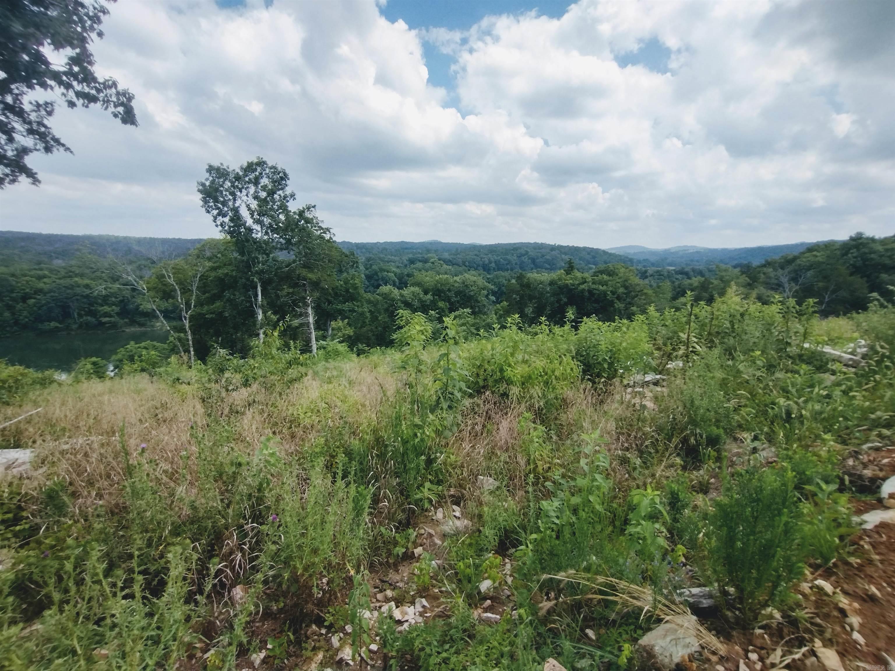 675 Ridge Top Rd  Melbourne, AR