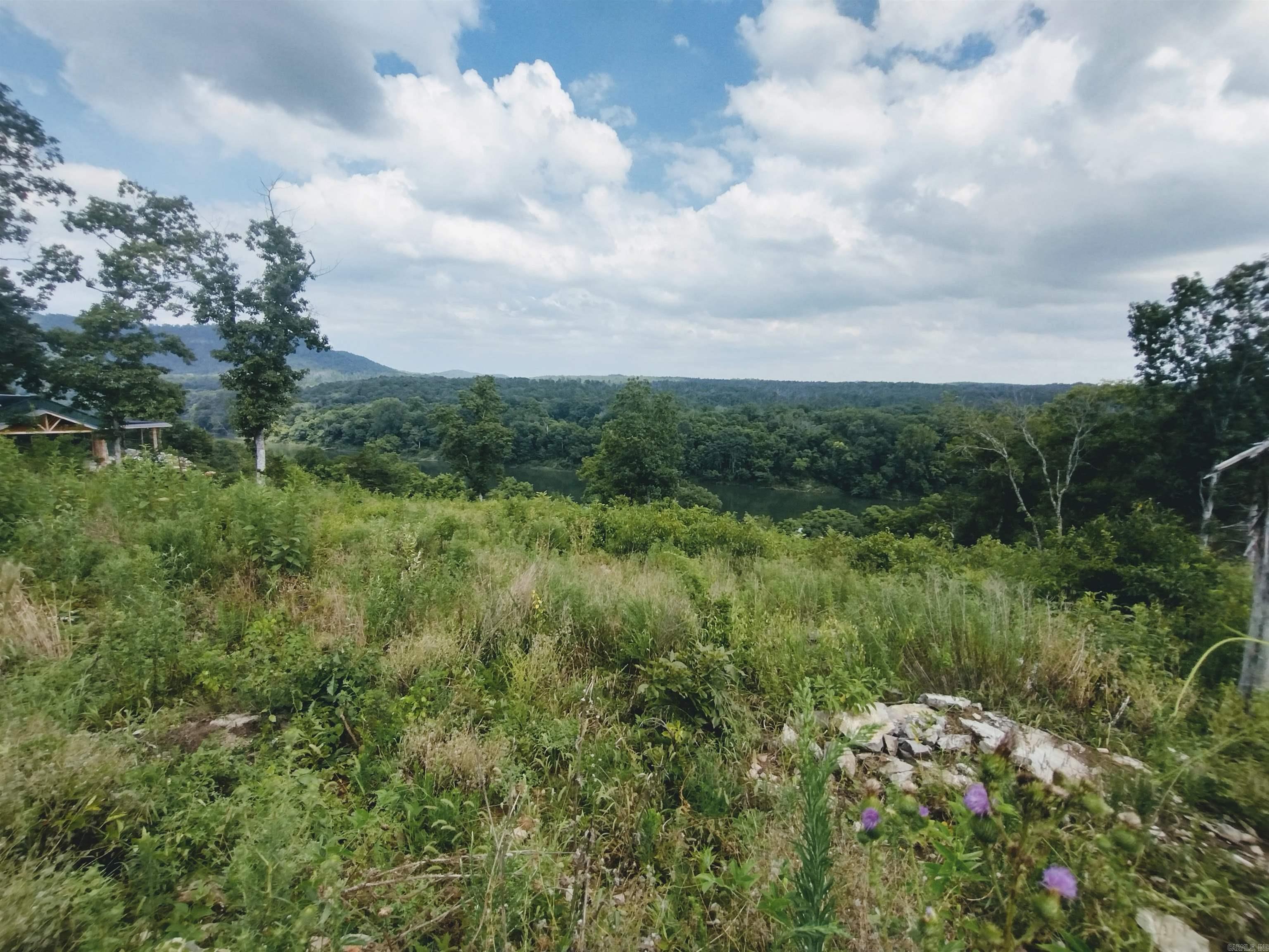 675 Ridge Top Rd  Melbourne, AR