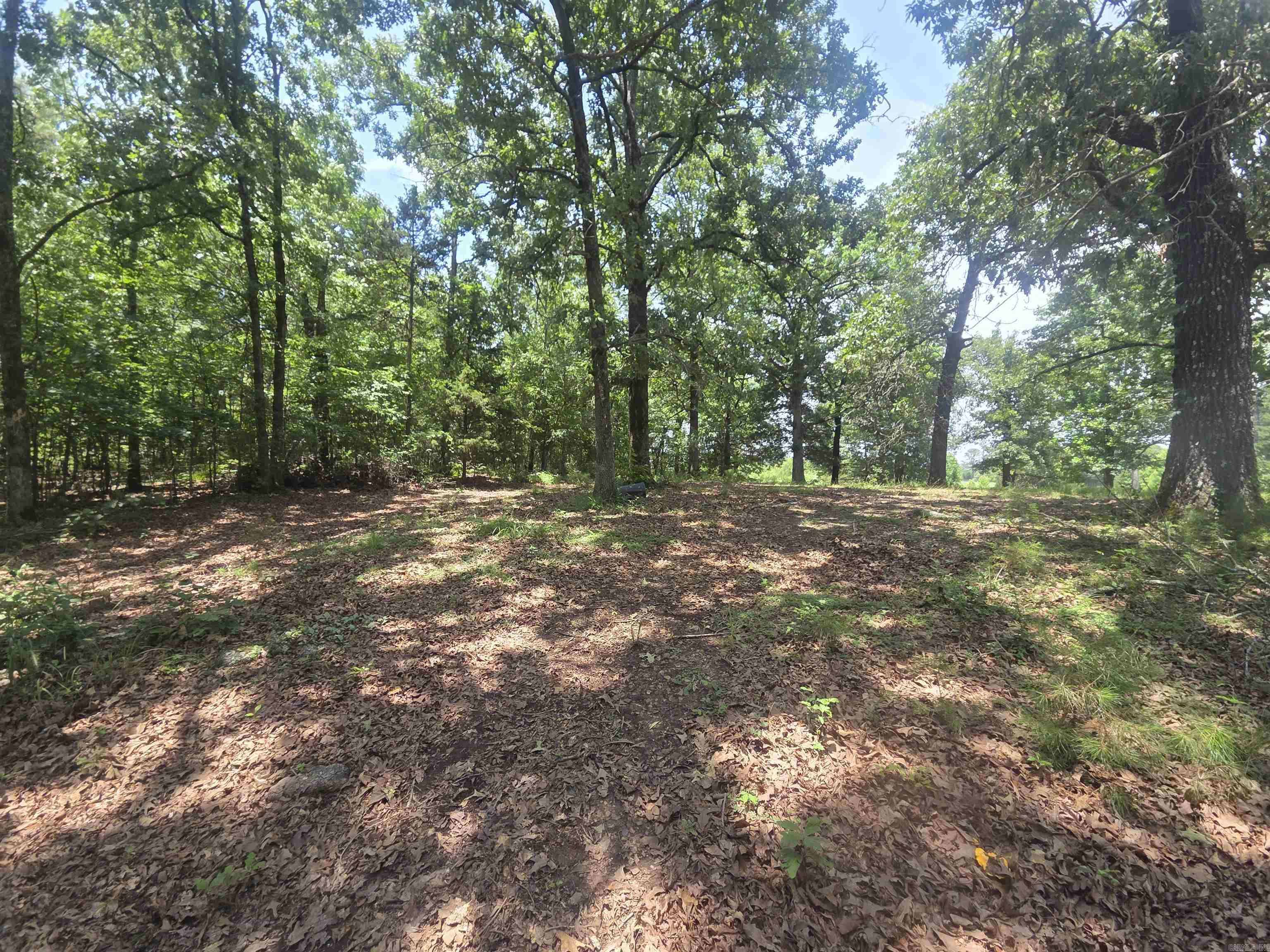 420 Polk Road 36  Hatfield, AR