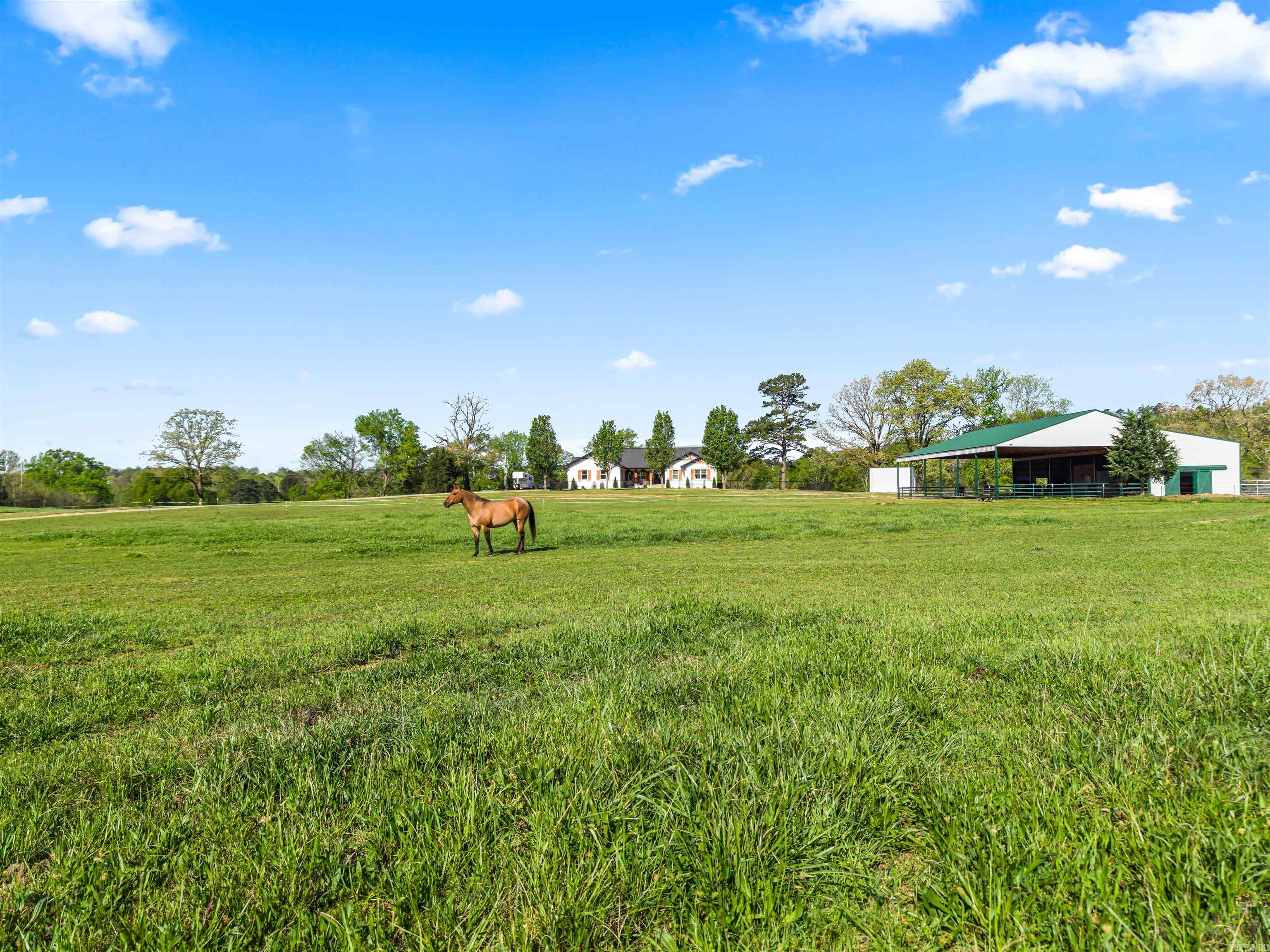 163 Barbie  Mount Ida, AR