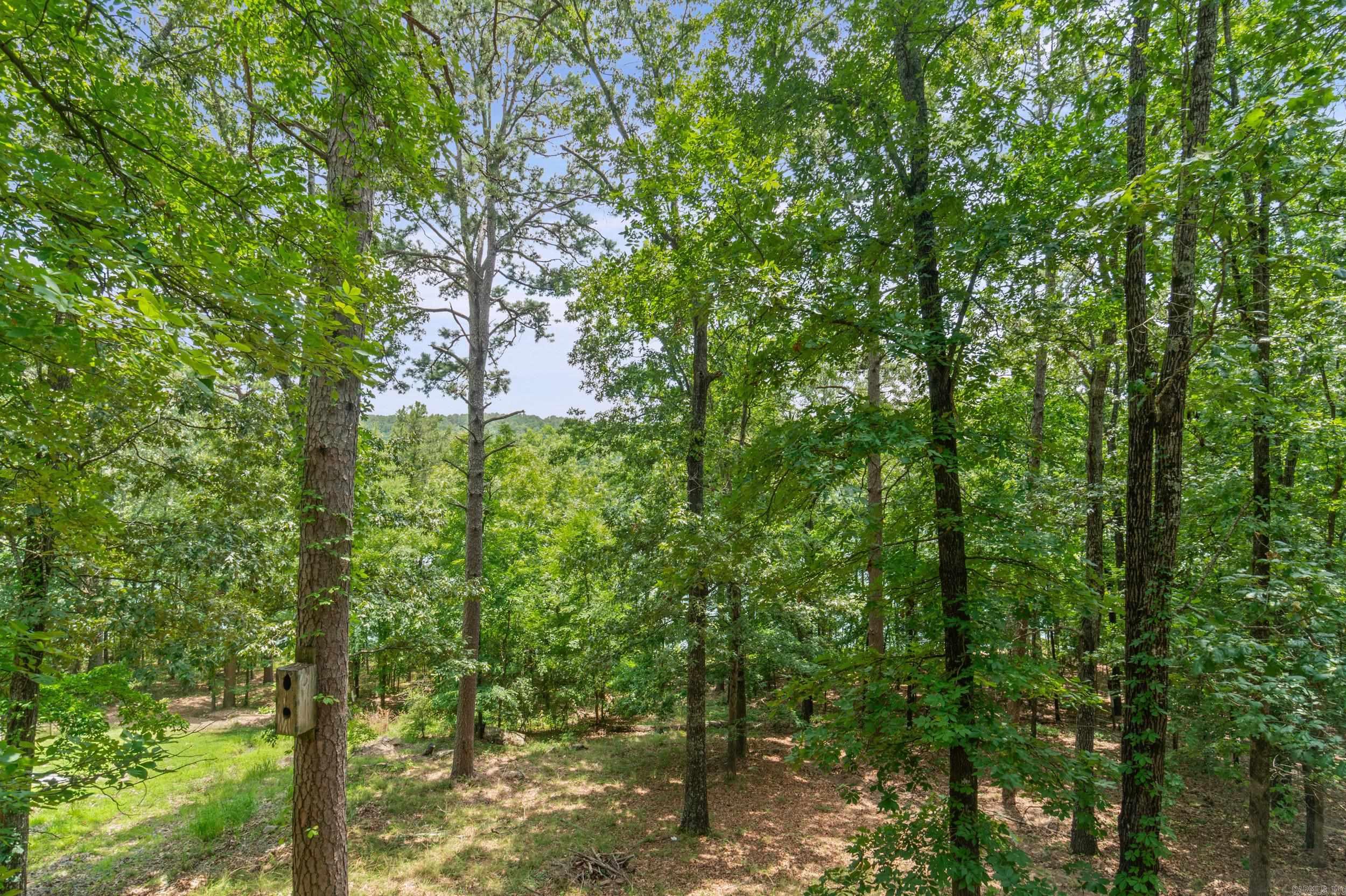 357 Belmont Acres  Tumbling Shoals, AR