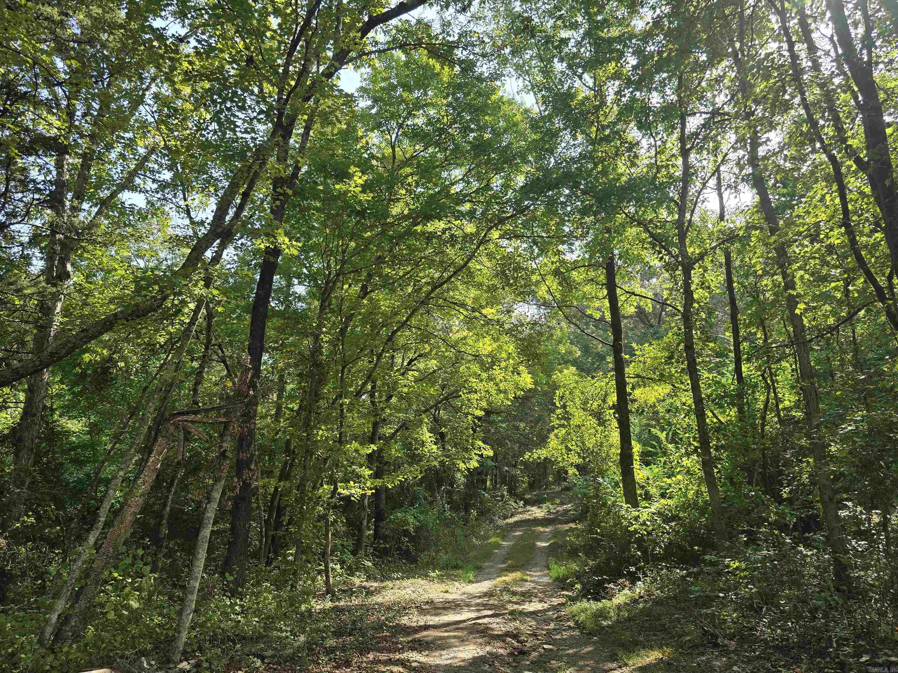 4378 Hwy 9 W  Clinton, AR