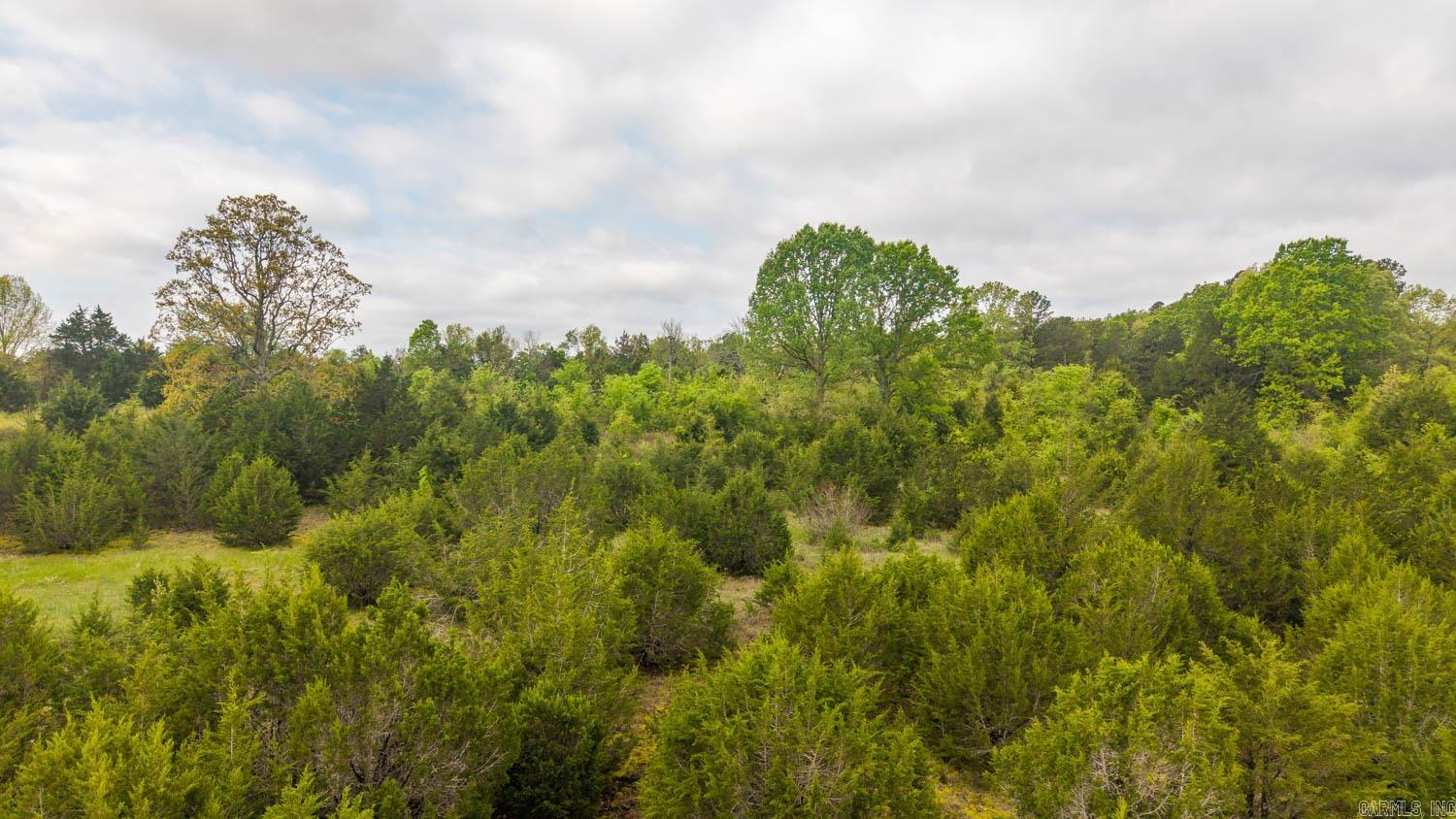 Tract 4 Little Woods  Elizabeth, AR