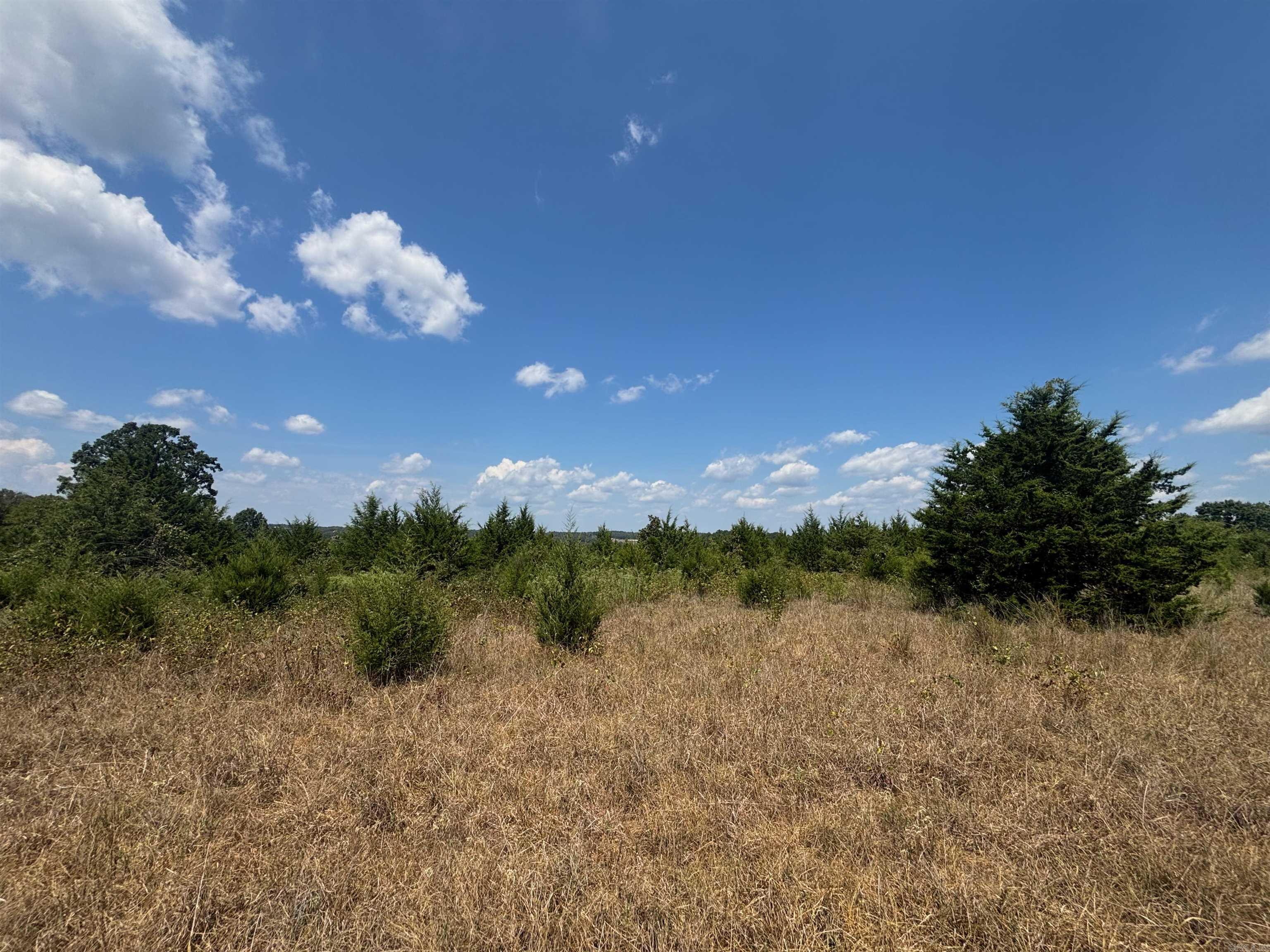 Tract 4 Little Woods  Elizabeth, AR