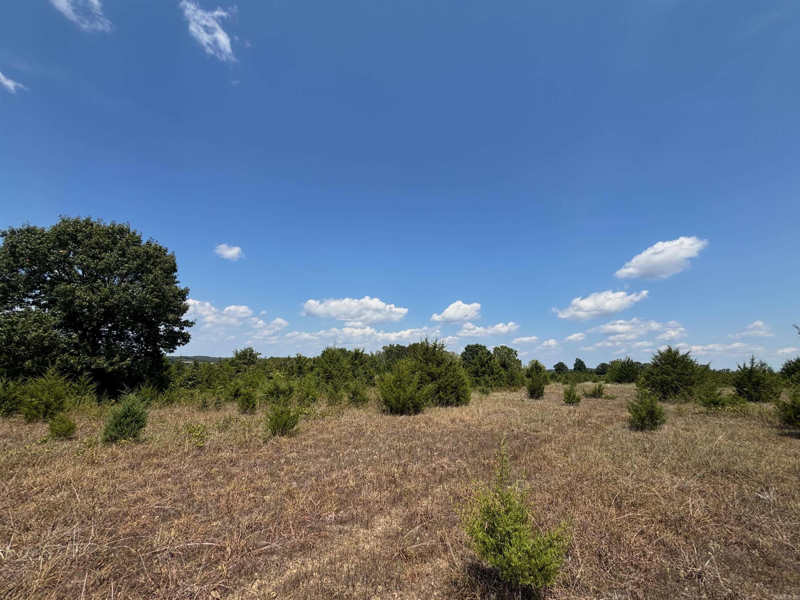 Tract 4 Little Woods  Elizabeth, AR