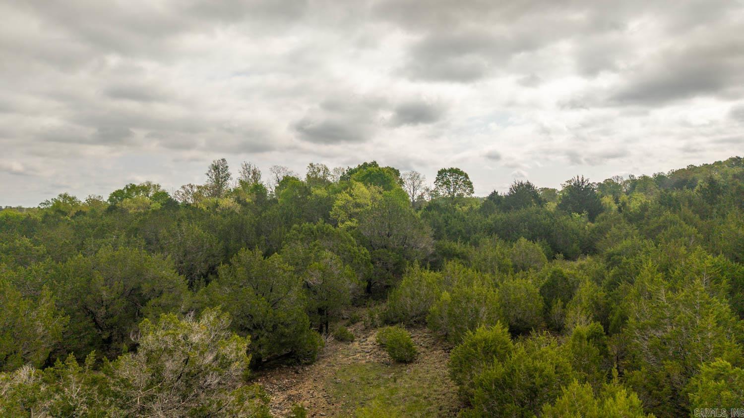 Tract 4 Little Woods  Elizabeth, AR