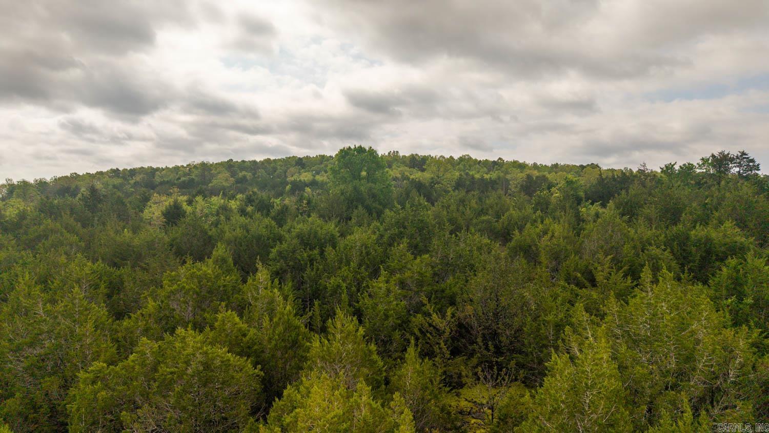 Tract 5 Little Woods  Elizabeth, AR
