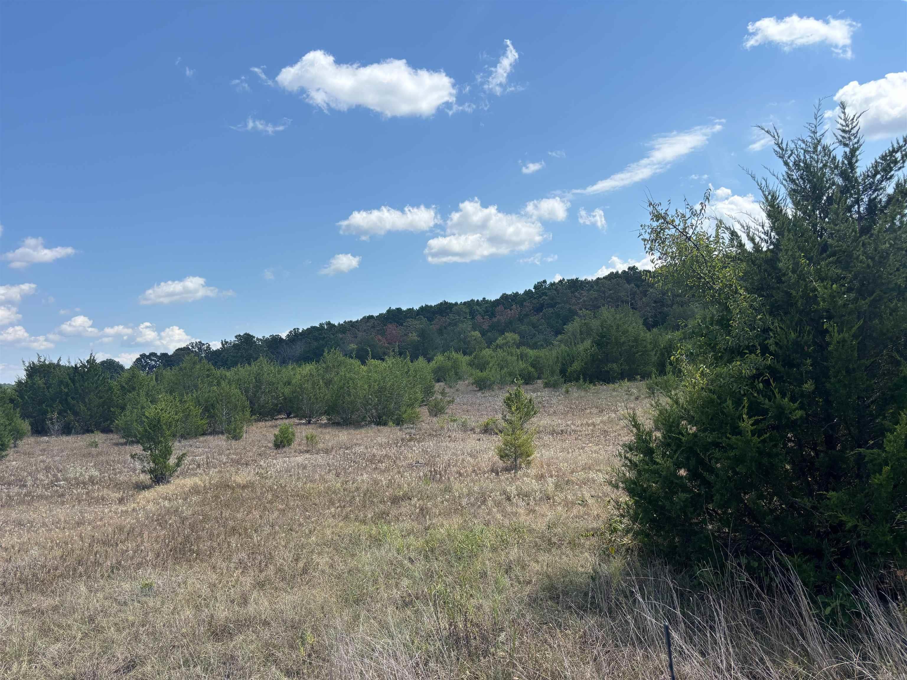 Tract 5 Little Woods  Elizabeth, AR
