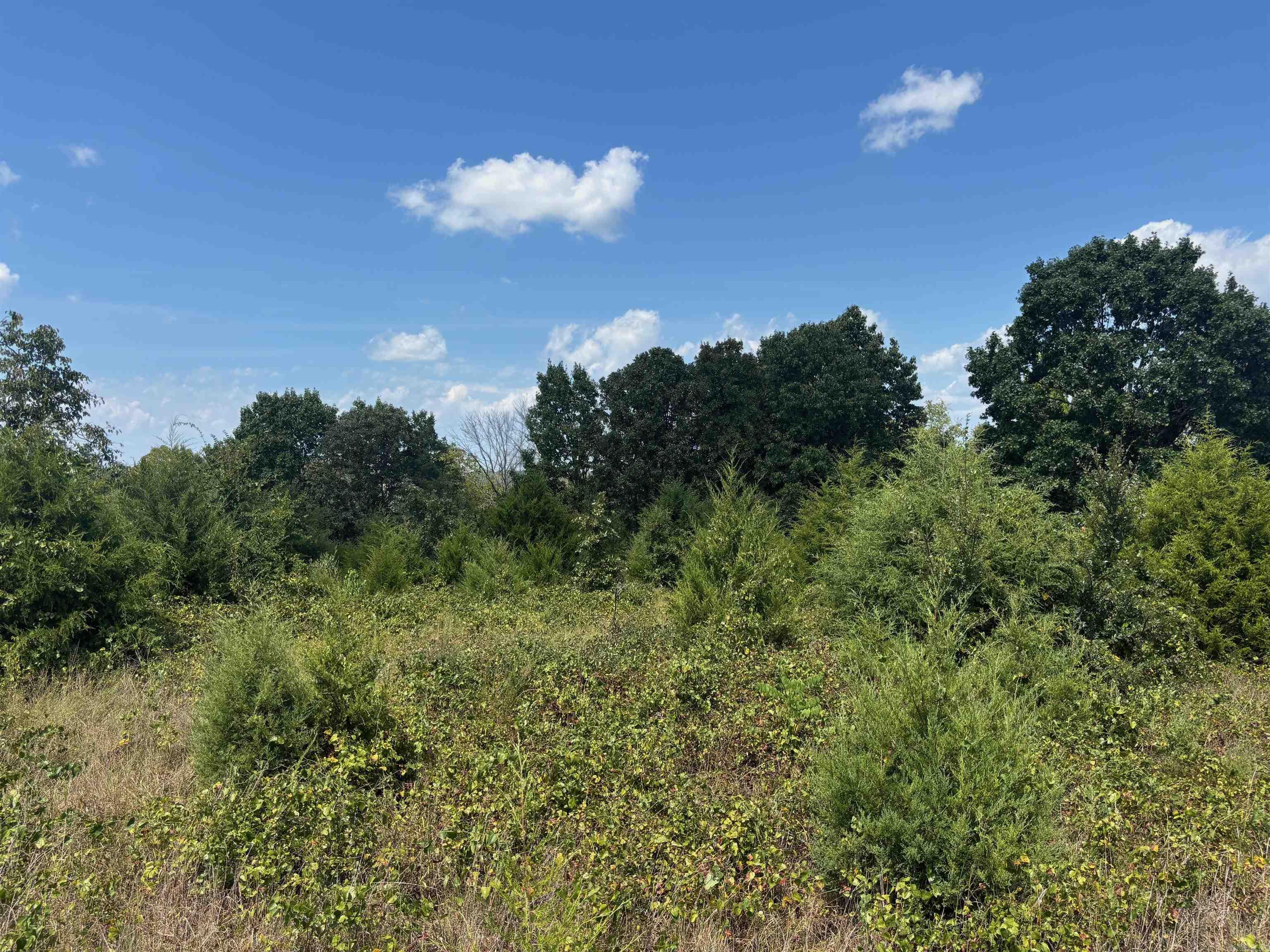 Tract 5 Little Woods  Elizabeth, AR