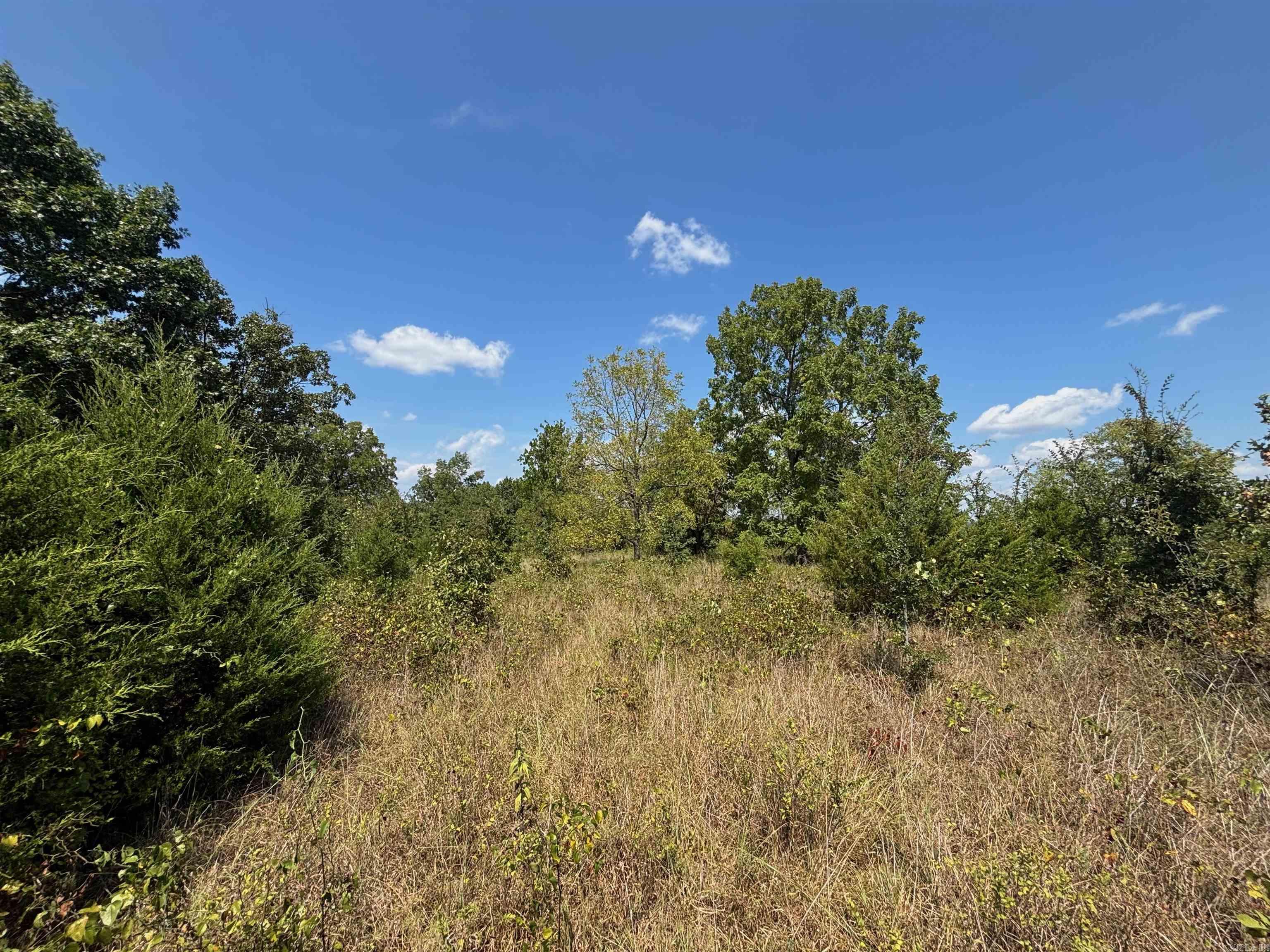 Tract 5 Little Woods  Elizabeth, AR