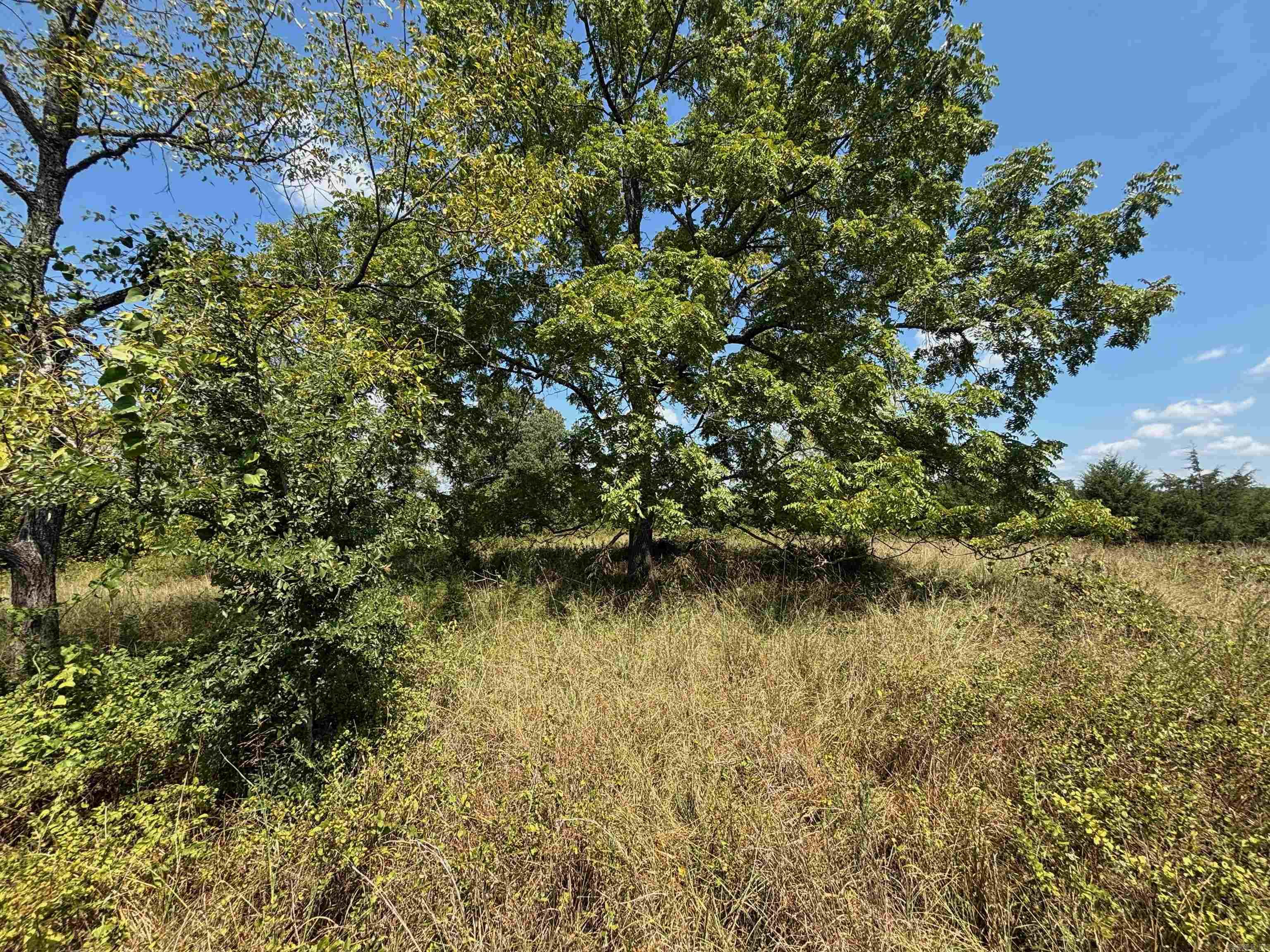 Tract 5 Little Woods  Elizabeth, AR