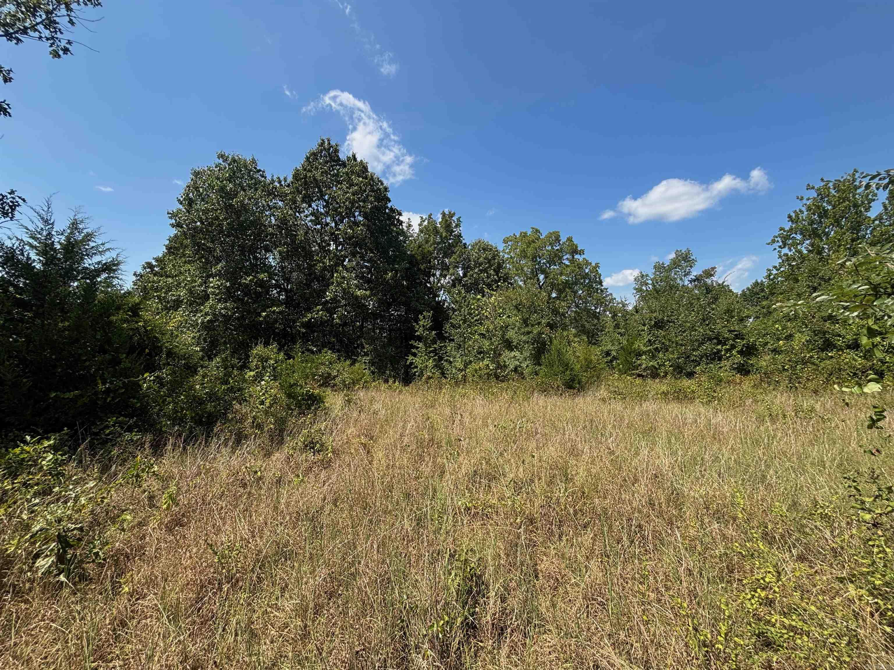 Tract 5 Little Woods  Elizabeth, AR