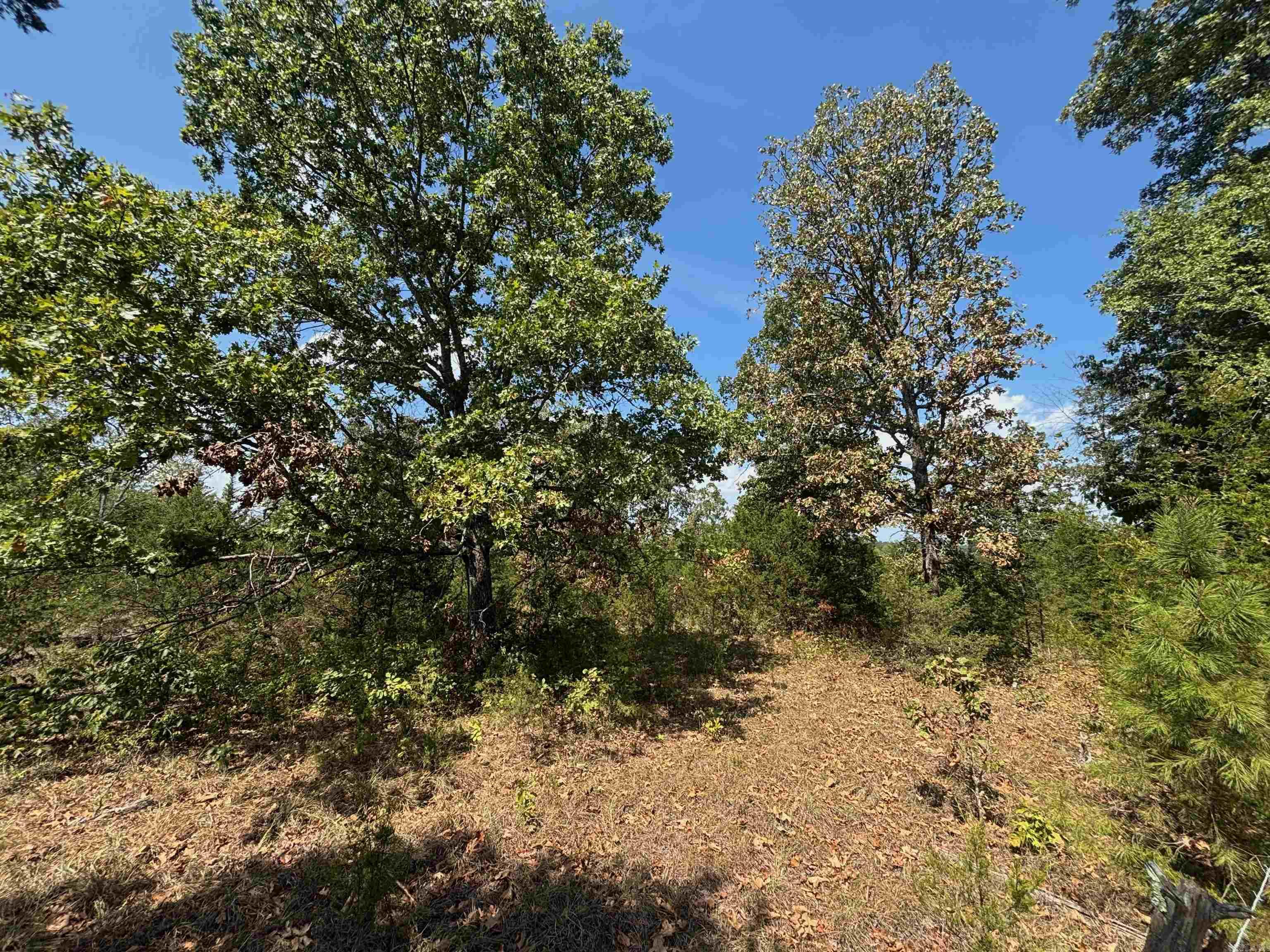 Tract 8 Little Woods  Elizabeth, AR