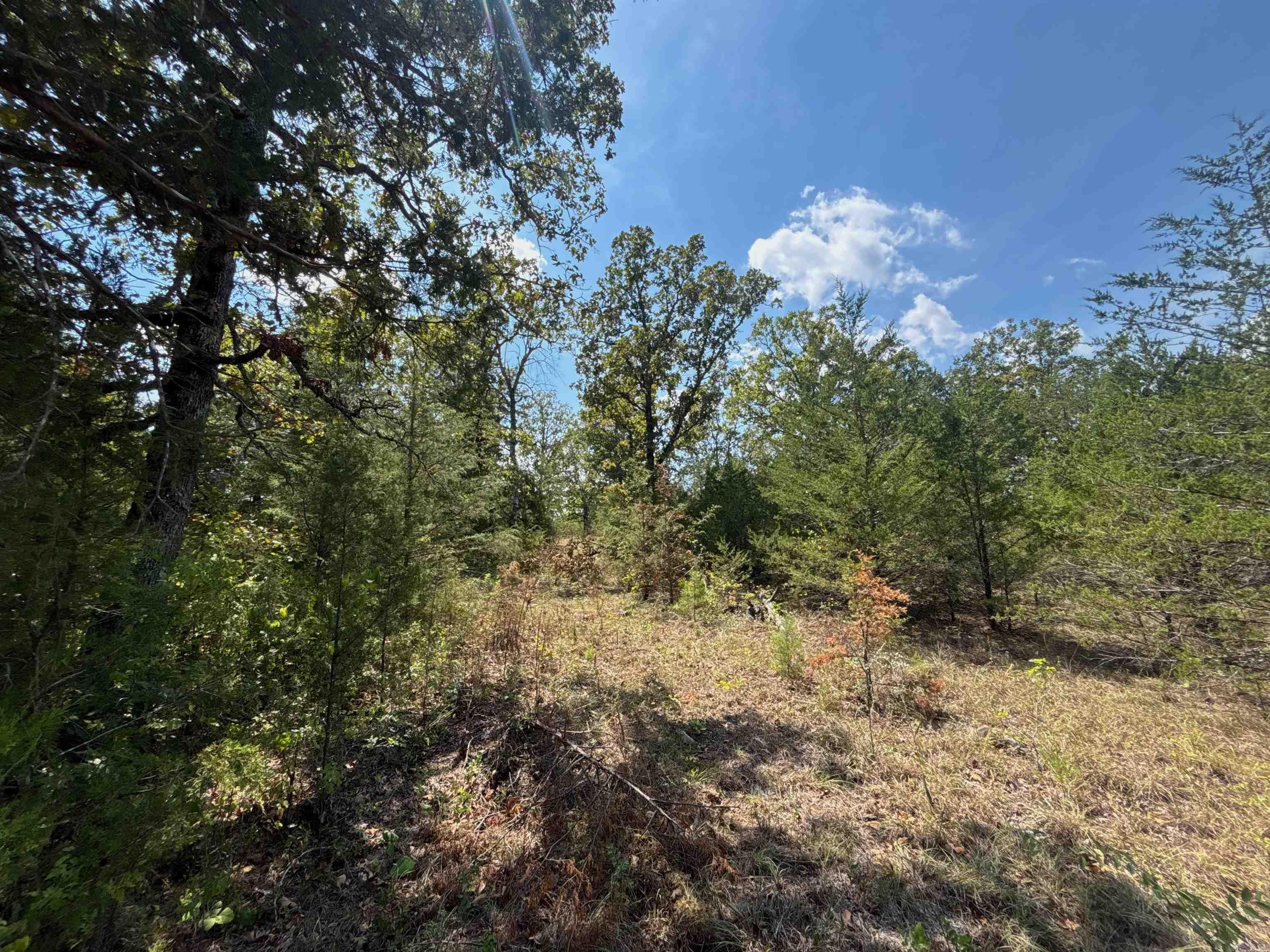 Tract 8 Little Woods  Elizabeth, AR