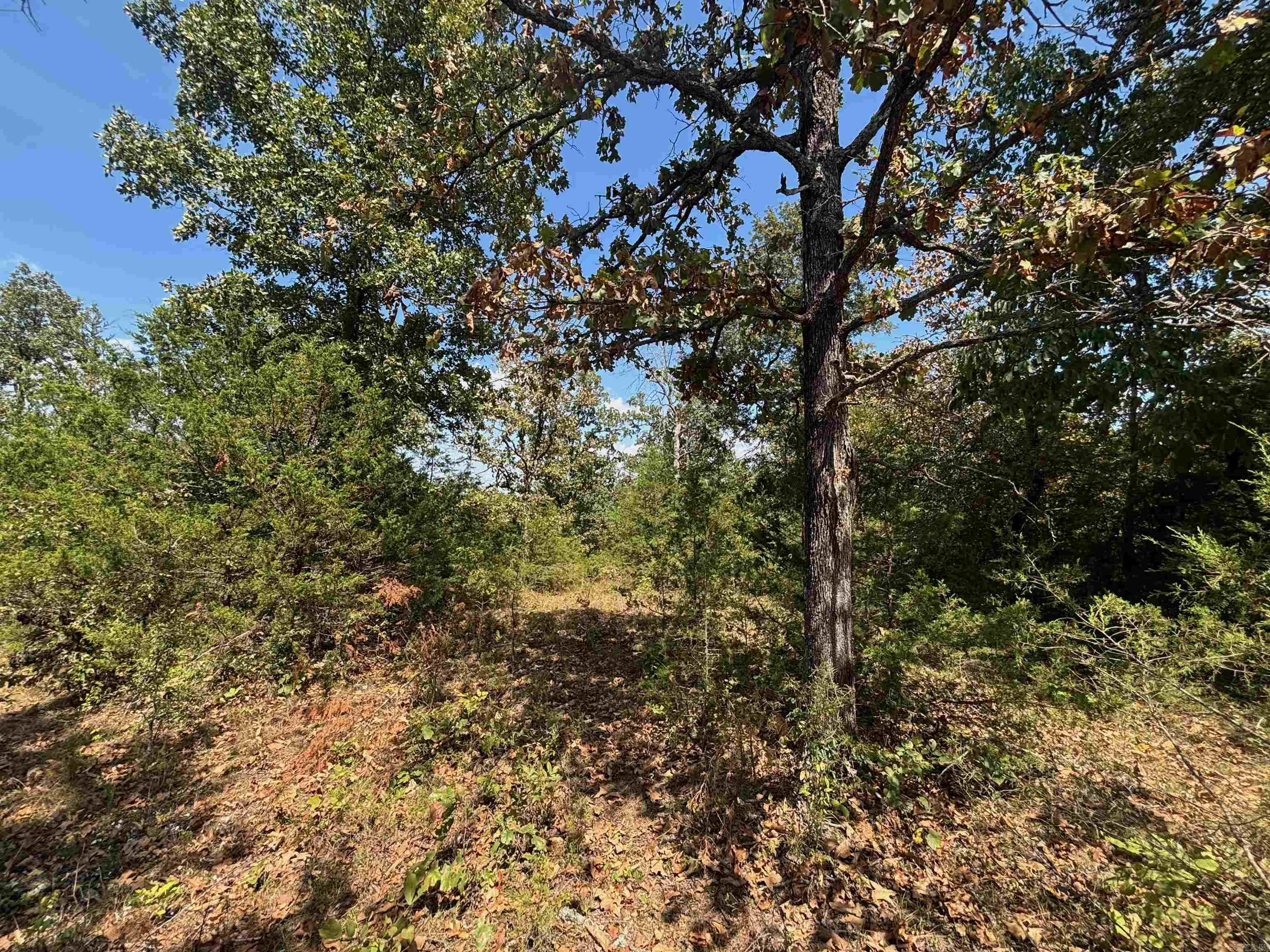 Tract 8 Little Woods  Elizabeth, AR
