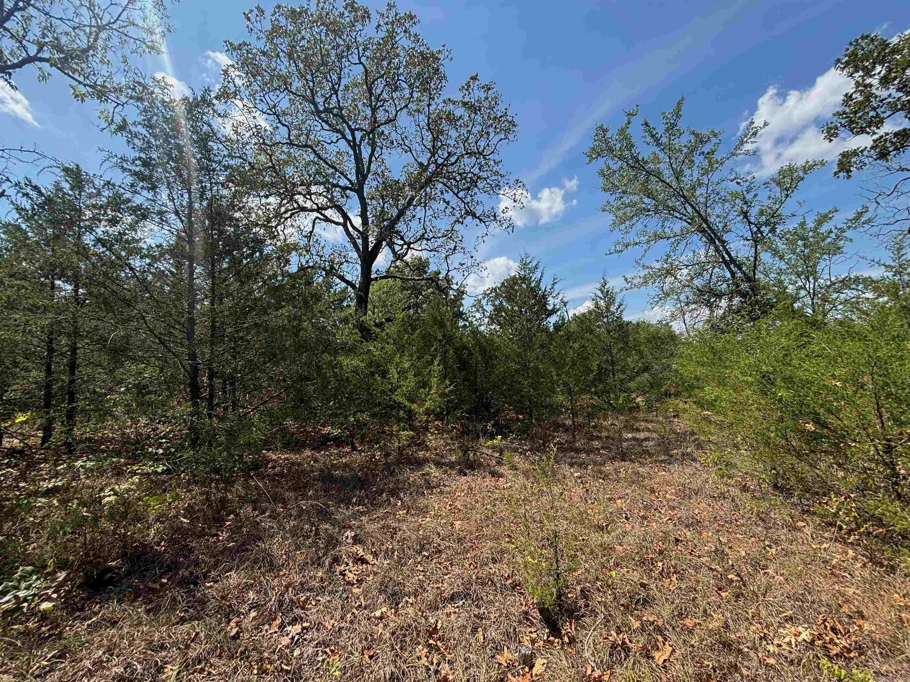 Tract 8 Little Woods  Elizabeth, AR