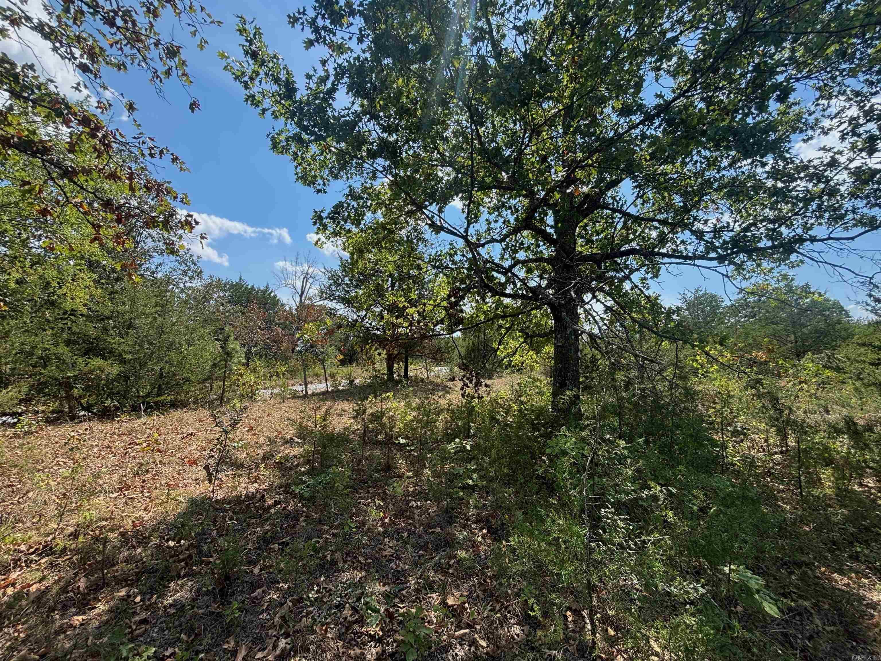 Tract 8 Little Woods  Elizabeth, AR