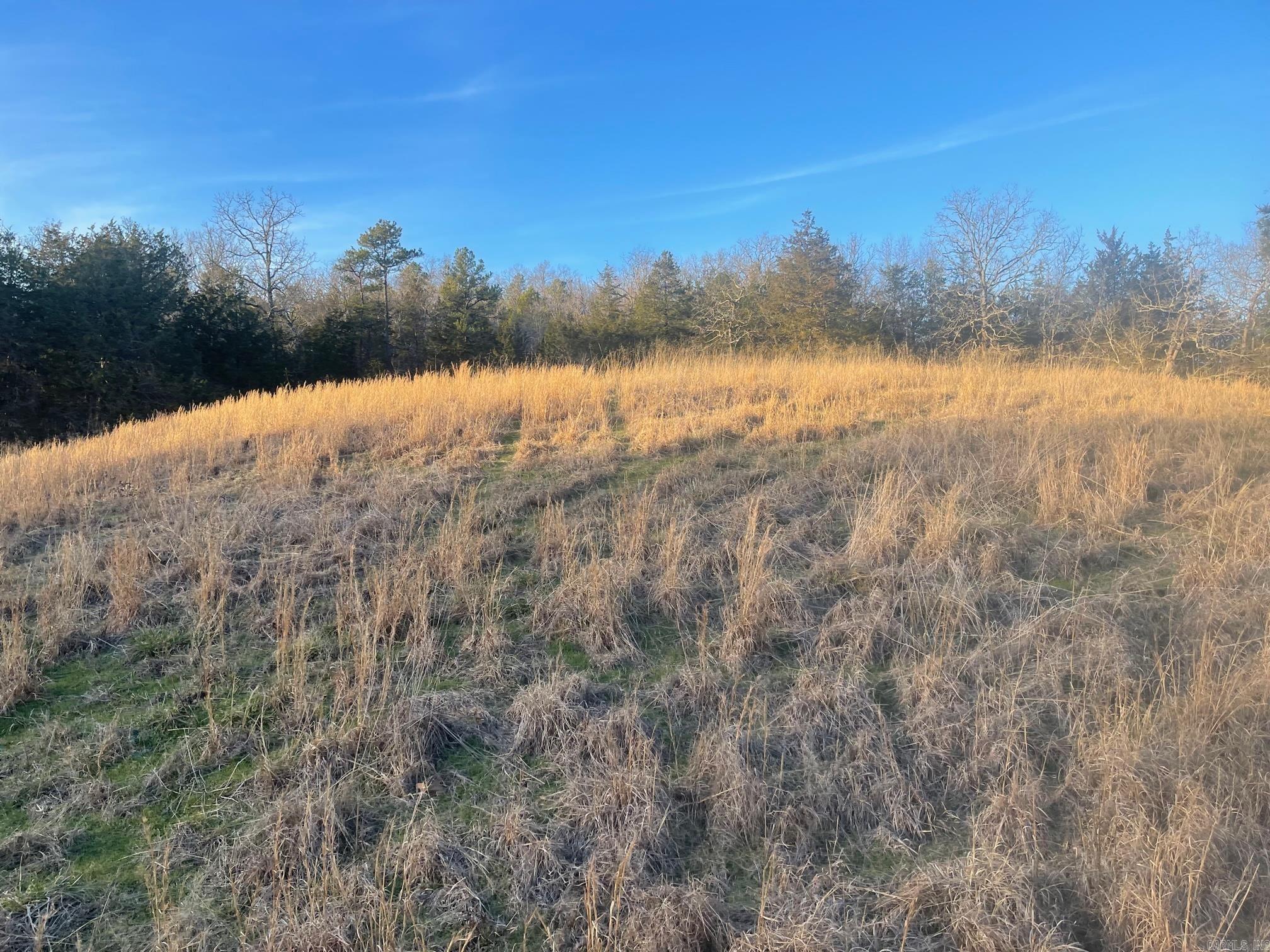 150 Polk Road 85  Mena, AR