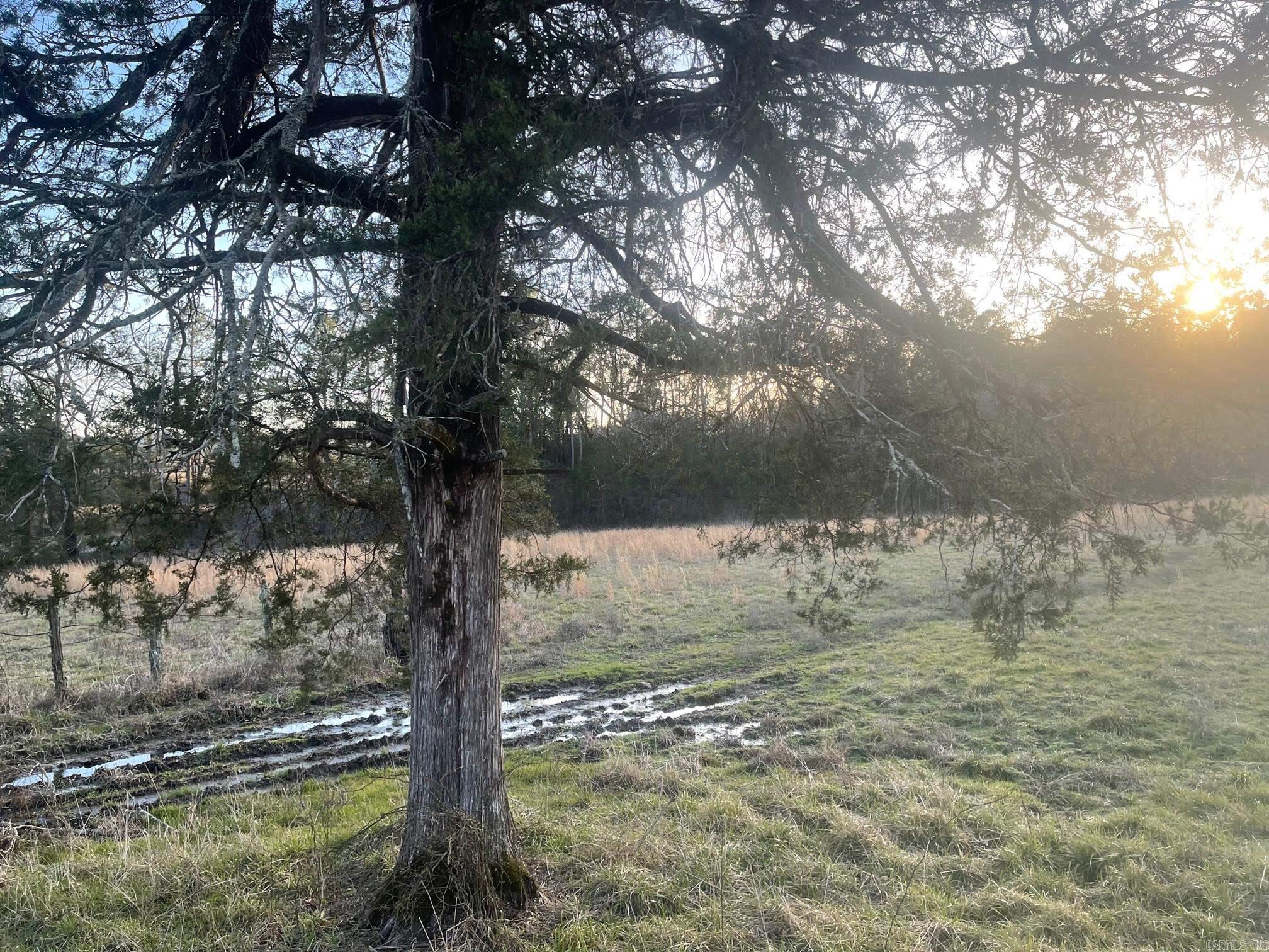 150 Polk Road 85  Mena, AR