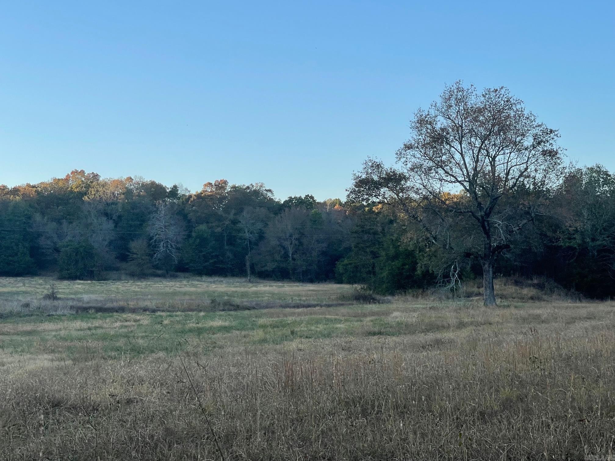 150 Polk Road 85  Mena, AR