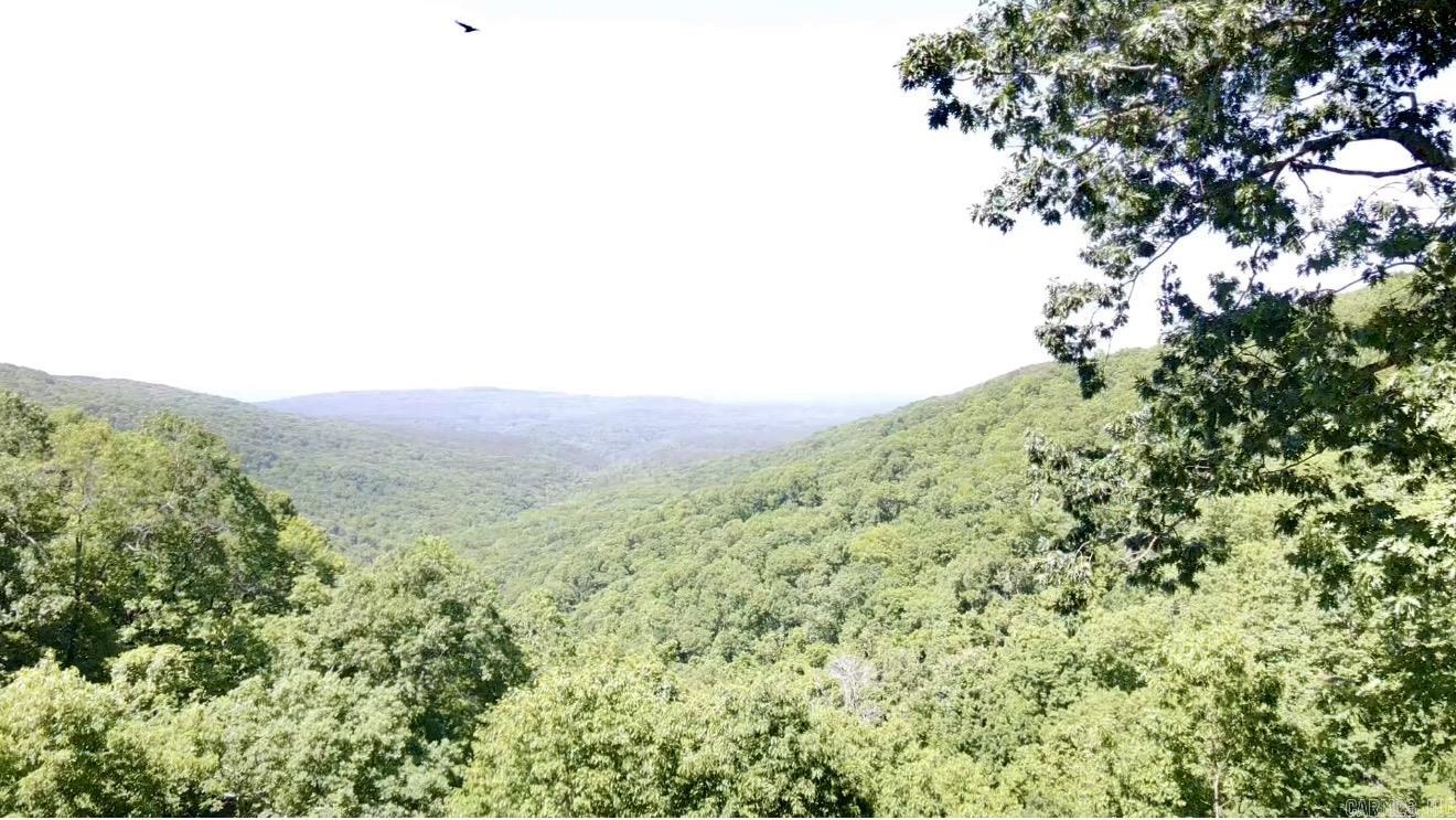 5800 White Oak Mountain Road Hector, AR 72843