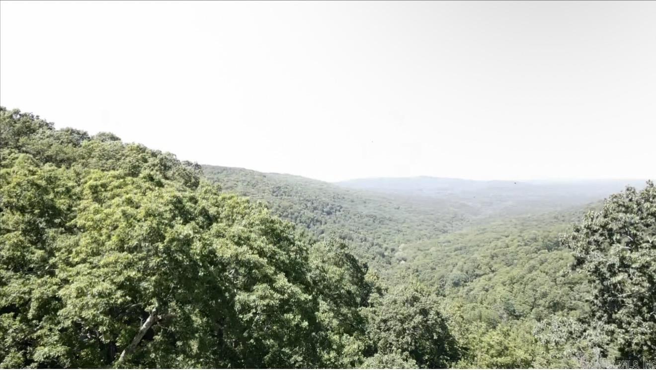 5800 White Oak Mountain Road Hector, AR 72843