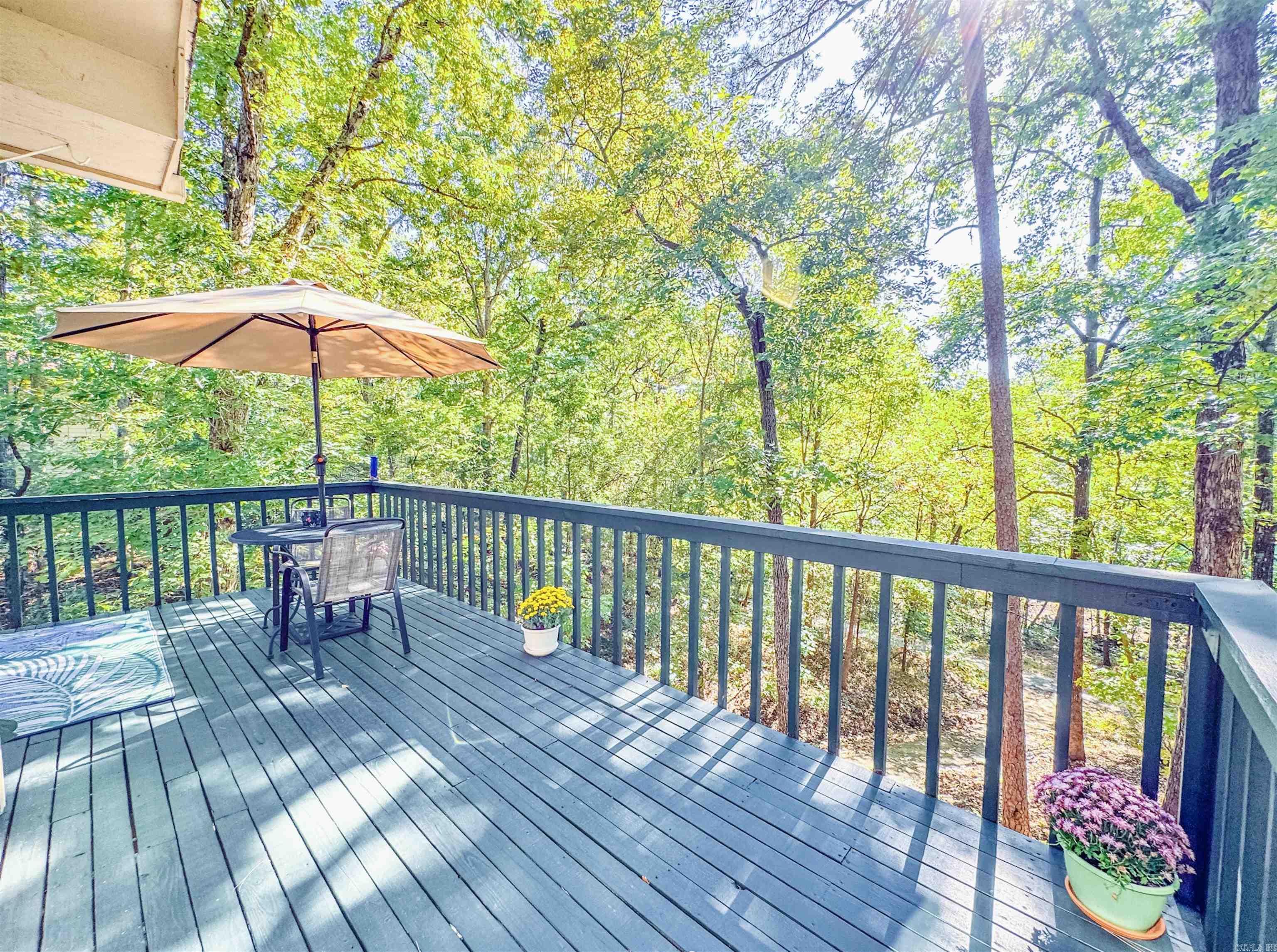 54 Malaga Way Hot Springs Village, AR 71909