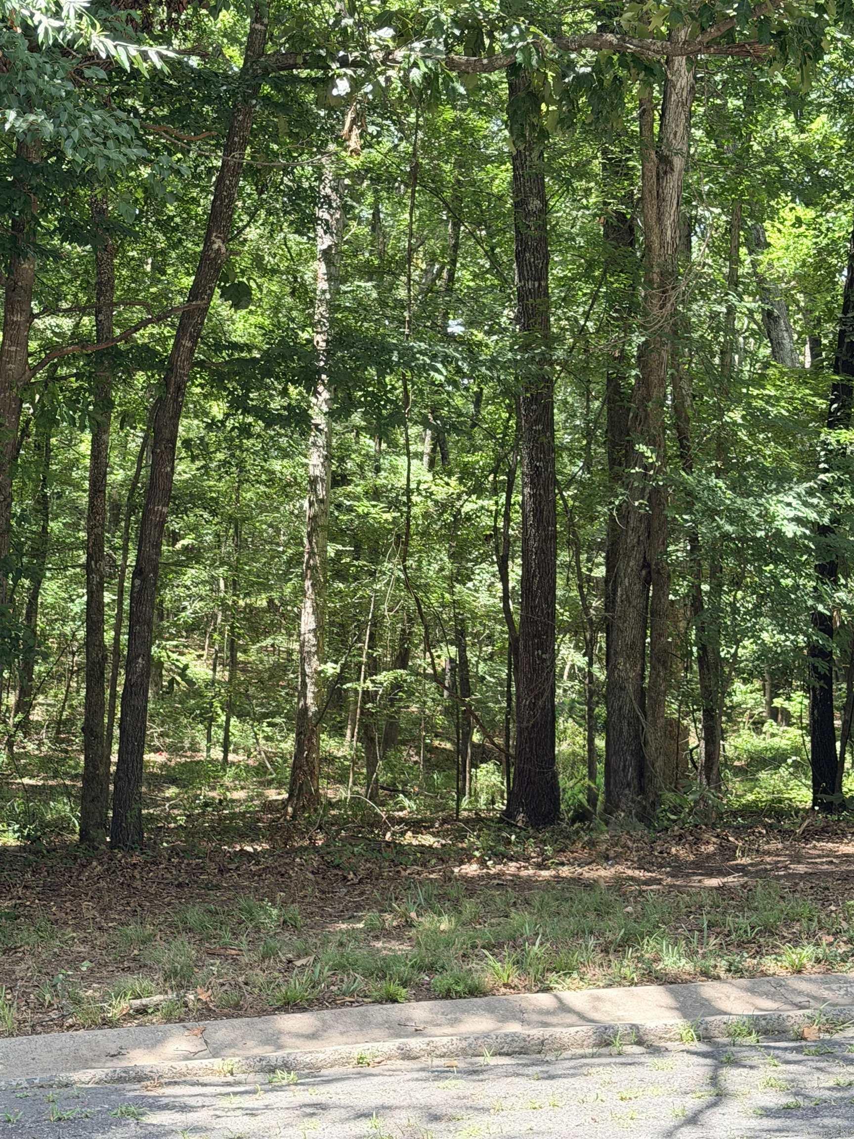 00 Colonial Park  White Hall, AR