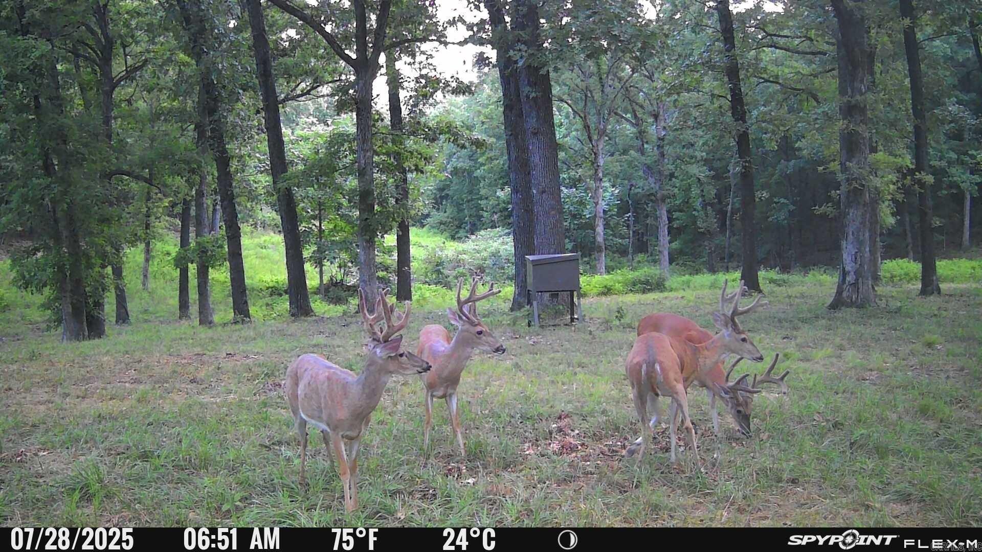 Lot 16 & 17 Pecks  Harrison, AR