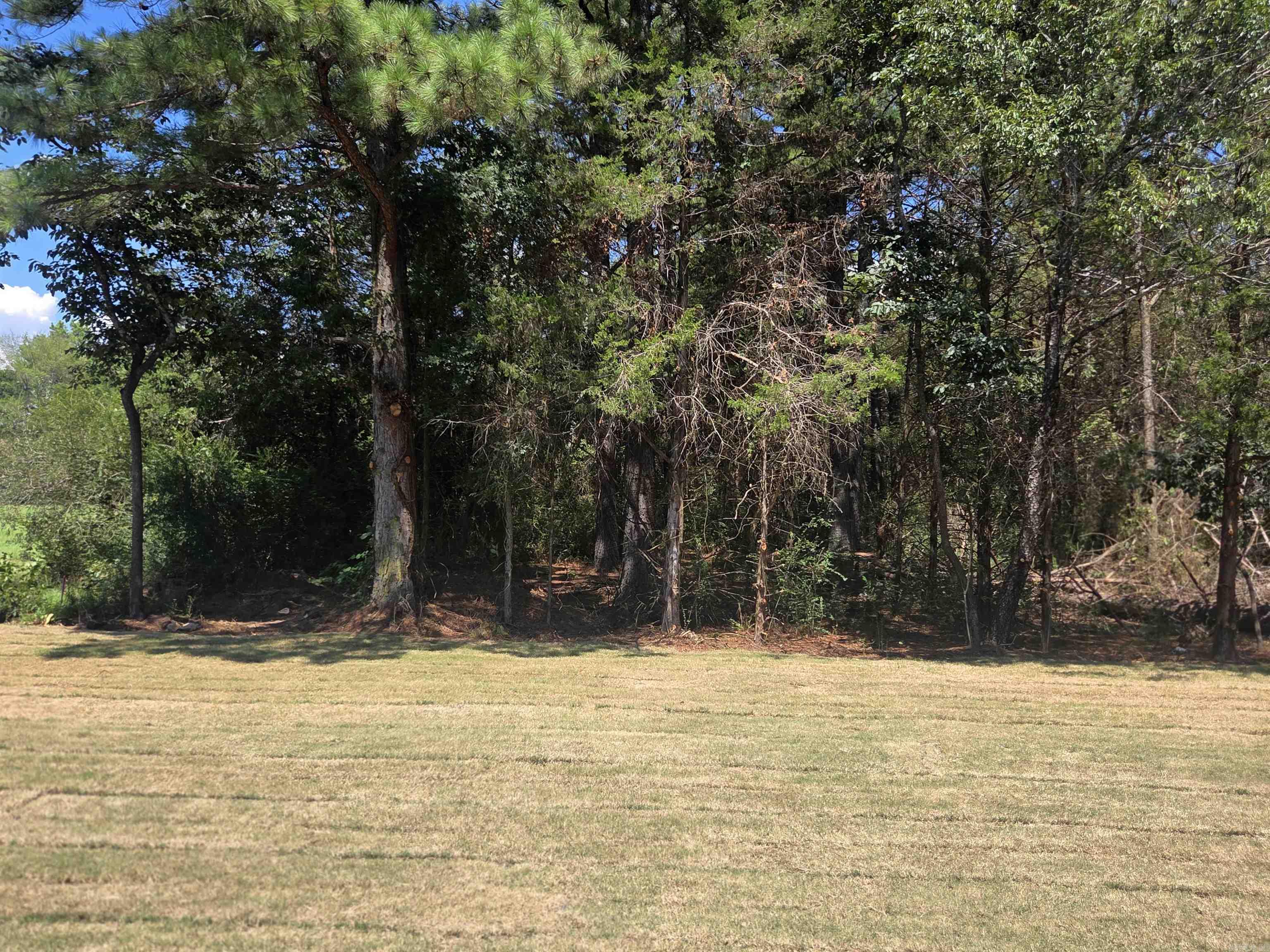 1800 Seattle Slew  Searcy, AR
