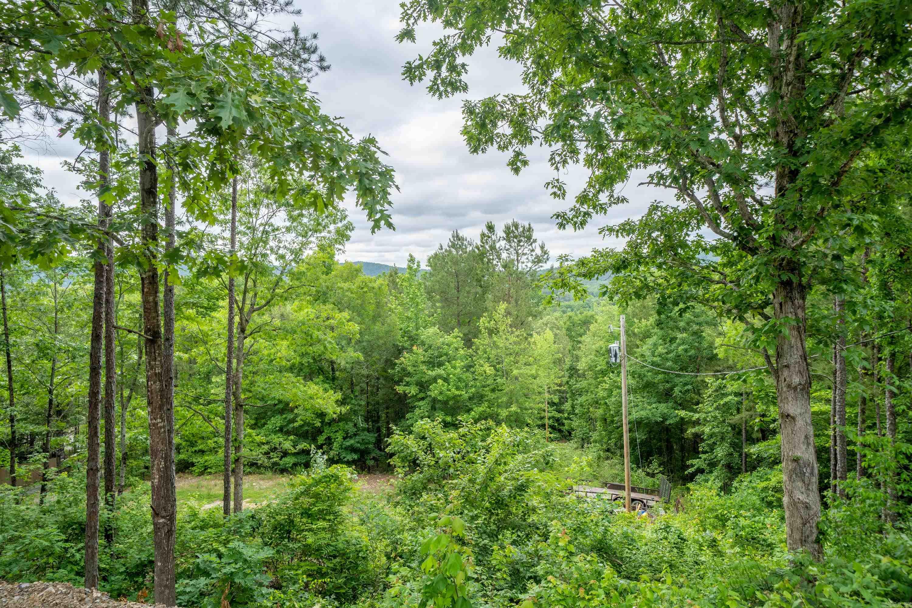 189 Crepe Myrtle  Hot Springs Village, AR