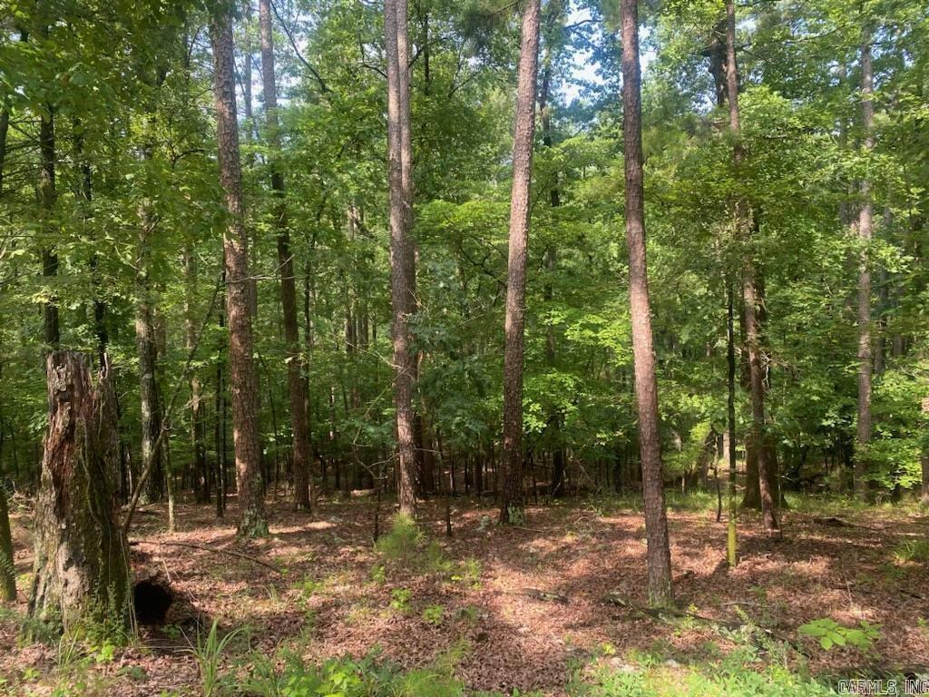 11 Southridge  Mount Ida, AR