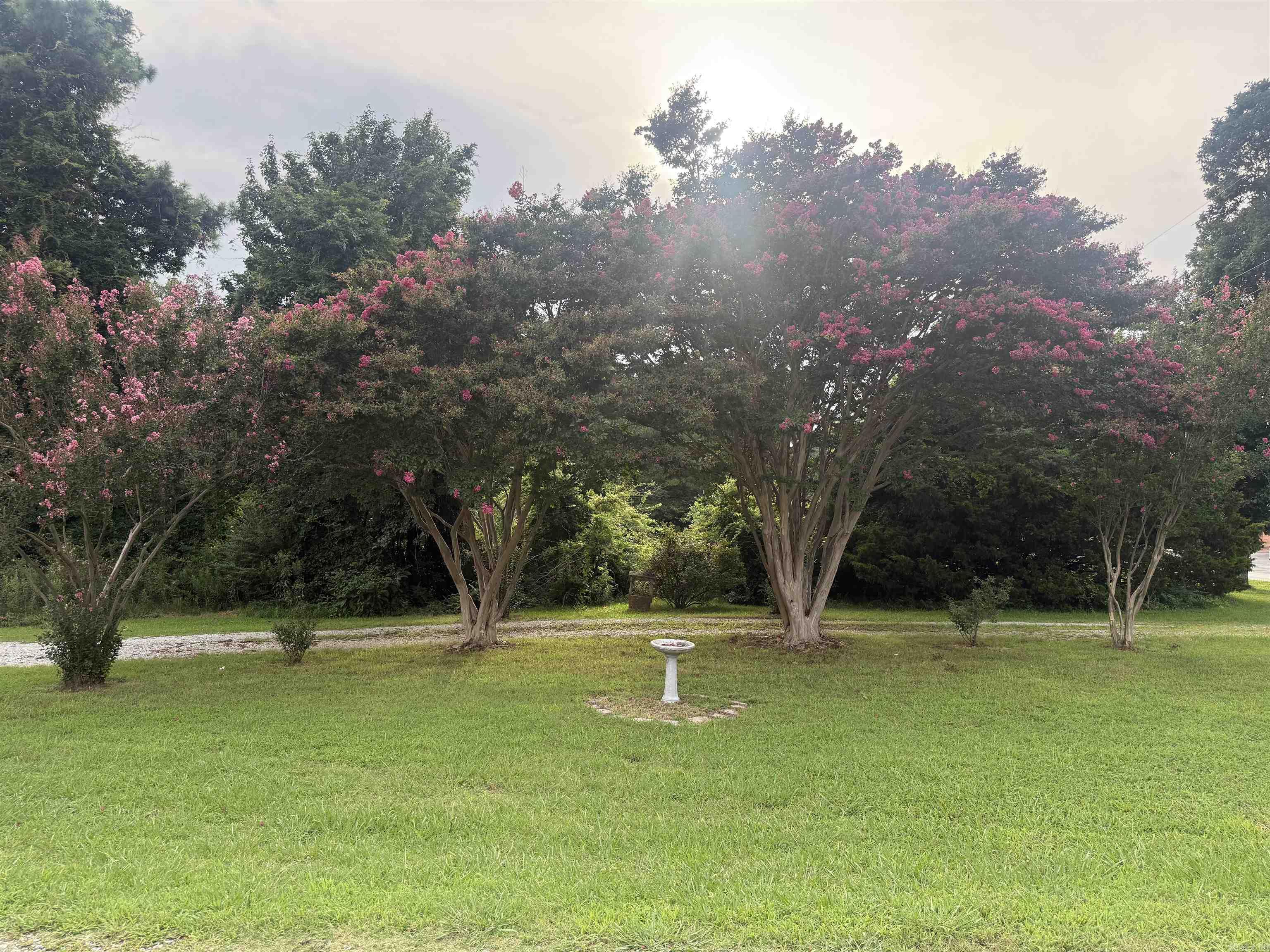 5816 Fairview Rd  Paragould, AR