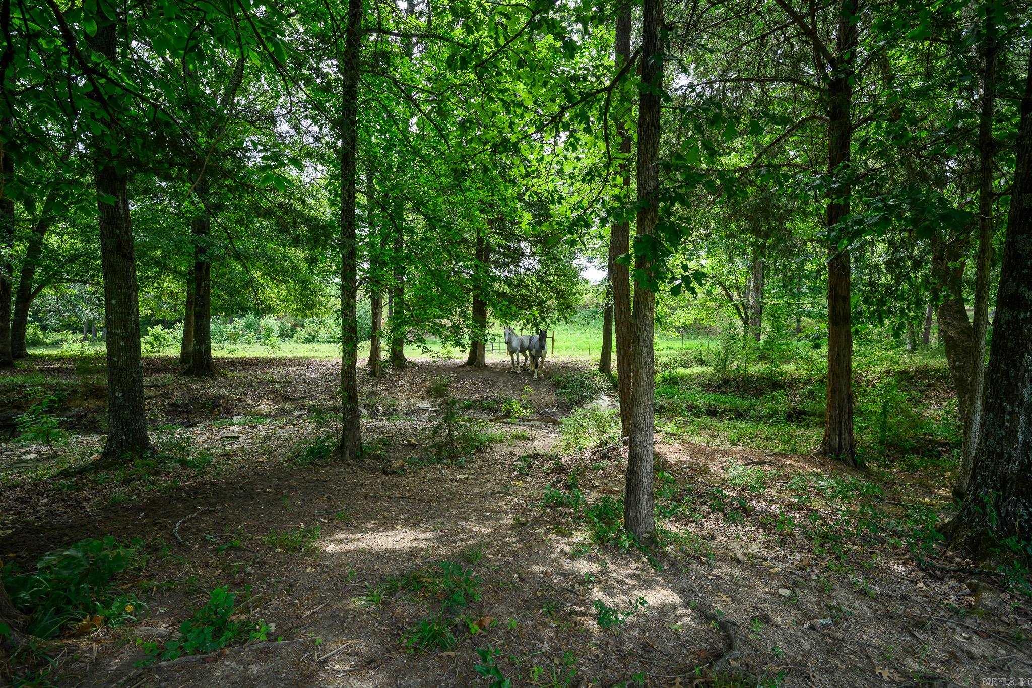 938 Ballpark Road  Mount Ida, AR