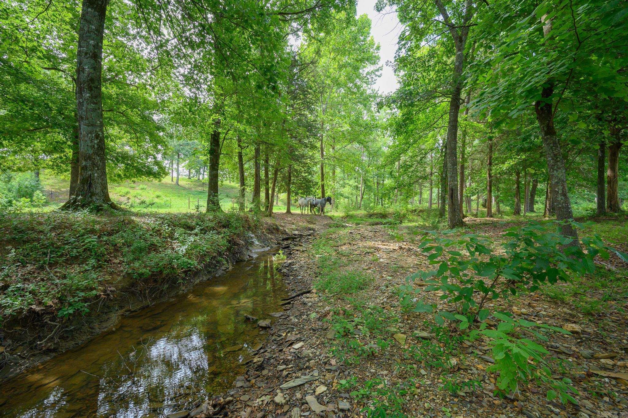 938 Ballpark Road  Mount Ida, AR