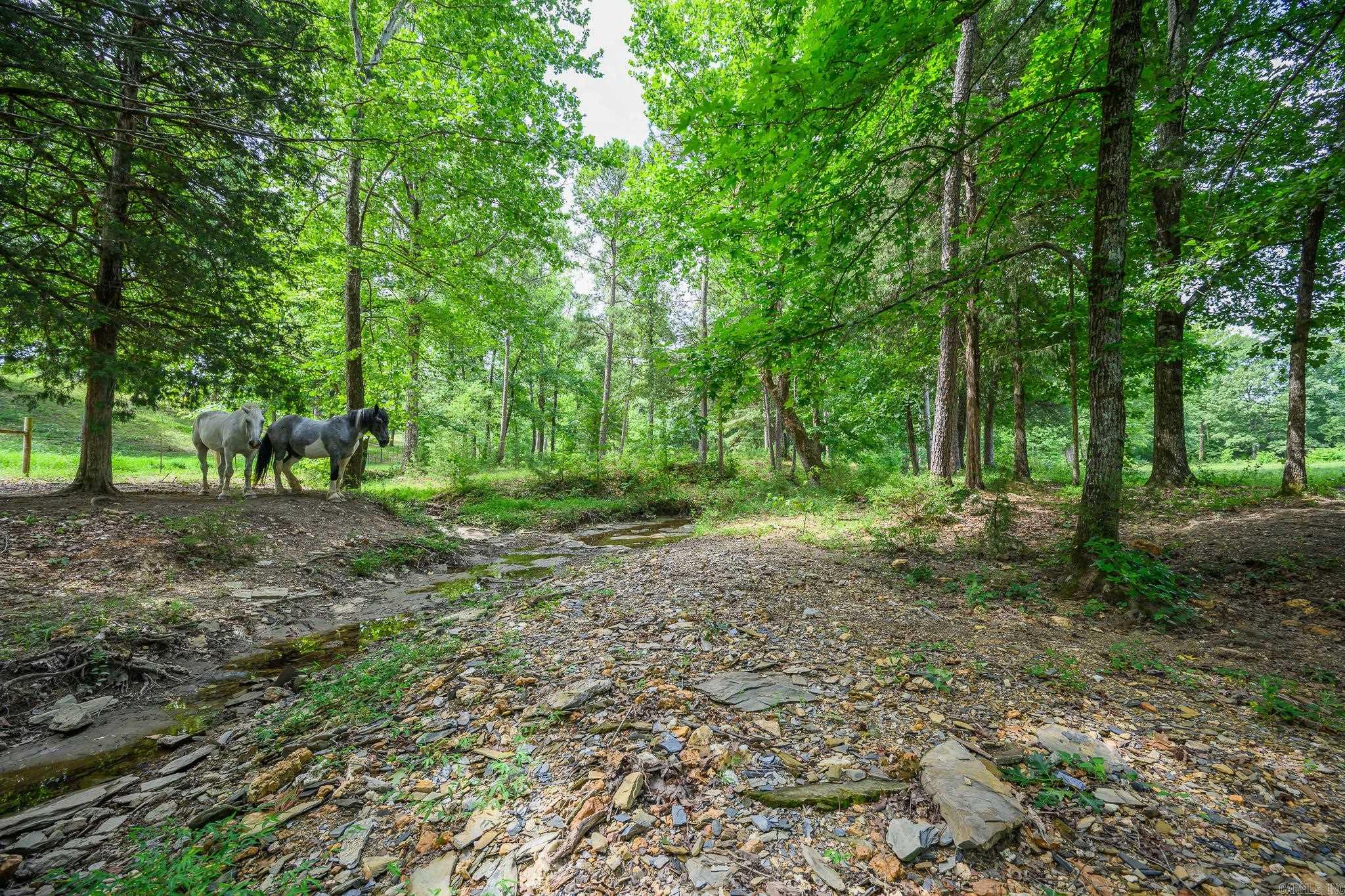 938 Ballpark Road  Mount Ida, AR