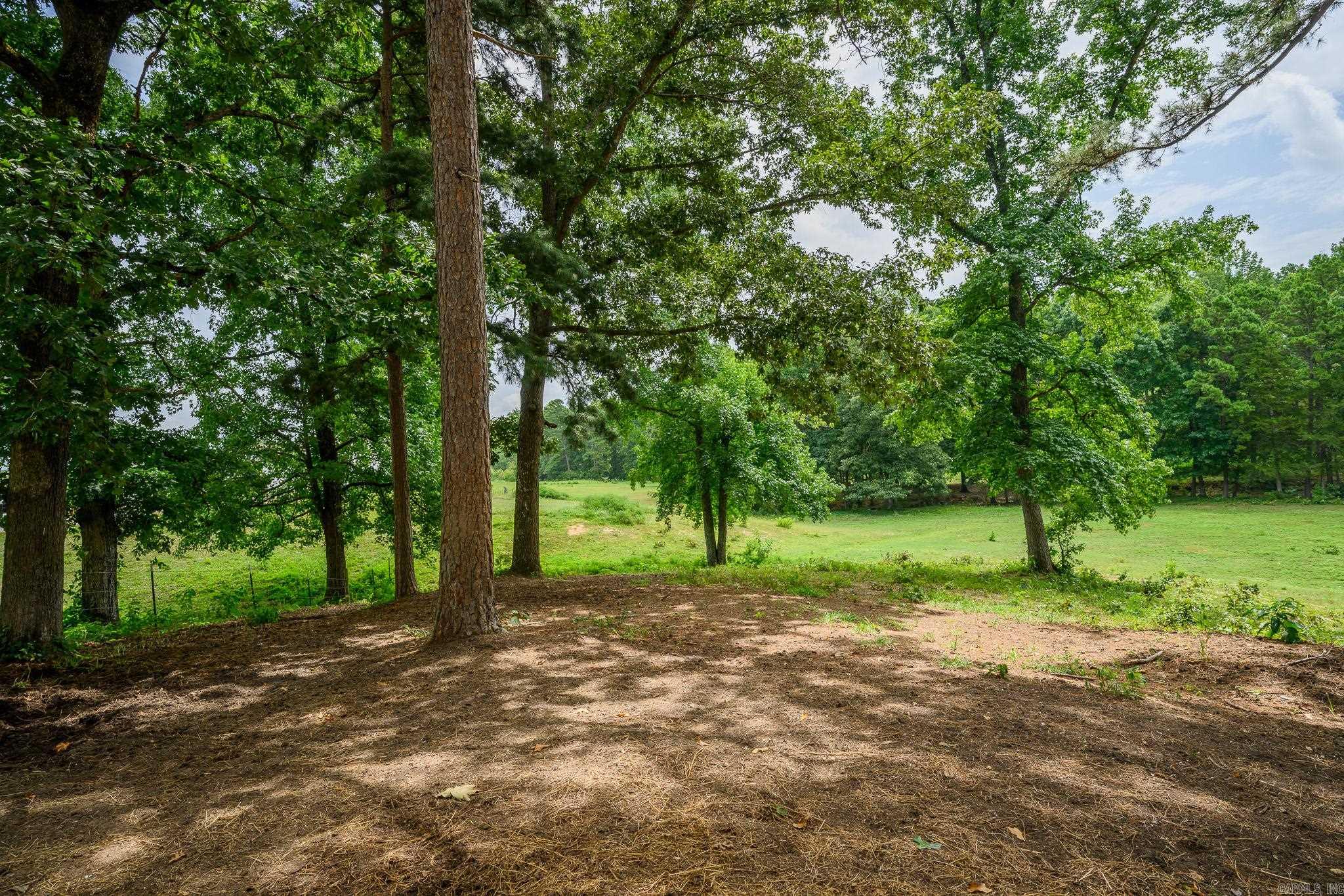 938 Ballpark Road  Mount Ida, AR