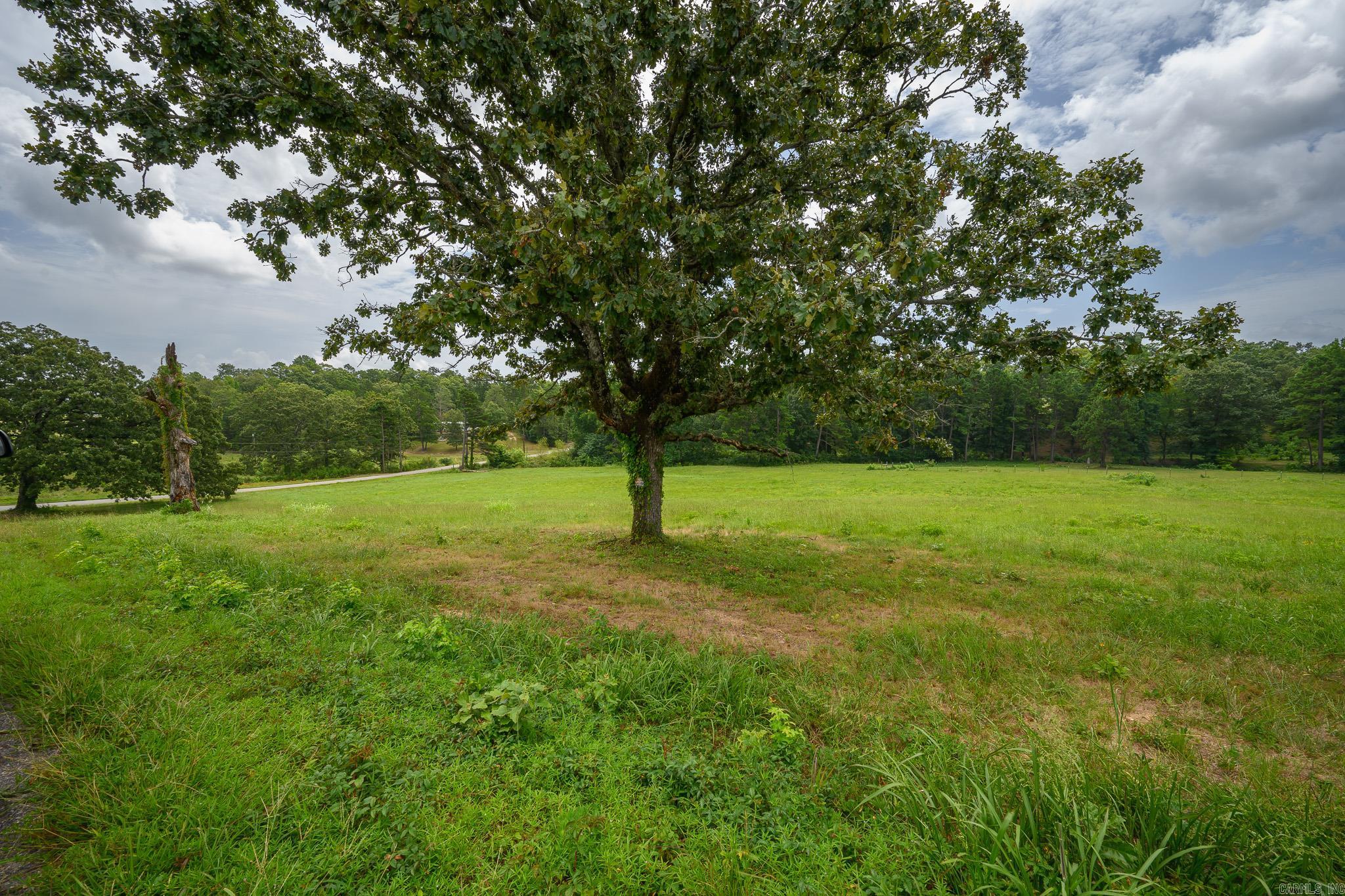 938 Ballpark Road  Mount Ida, AR