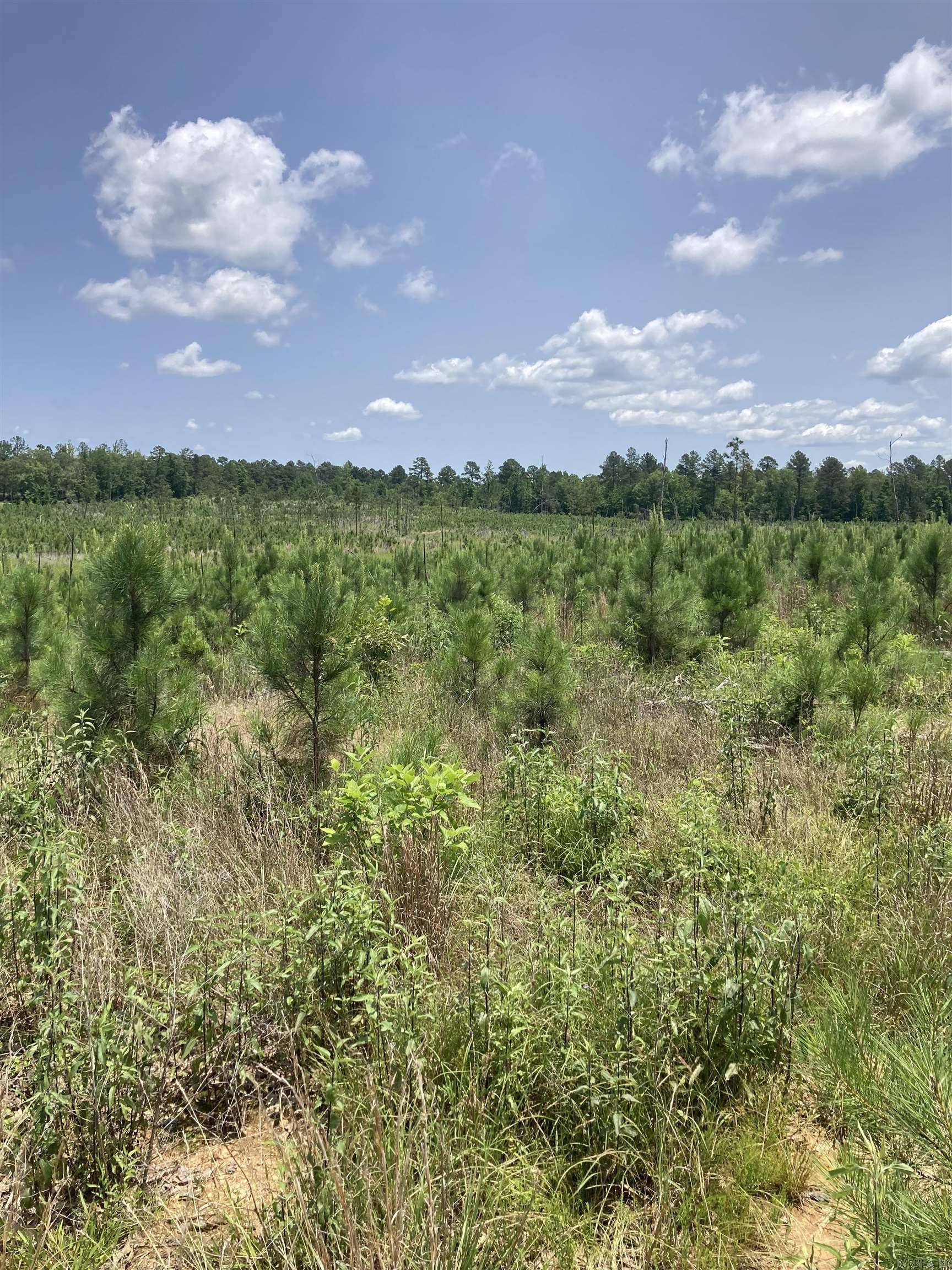1405 BLOCK OF Beaudry  Jessieville, AR