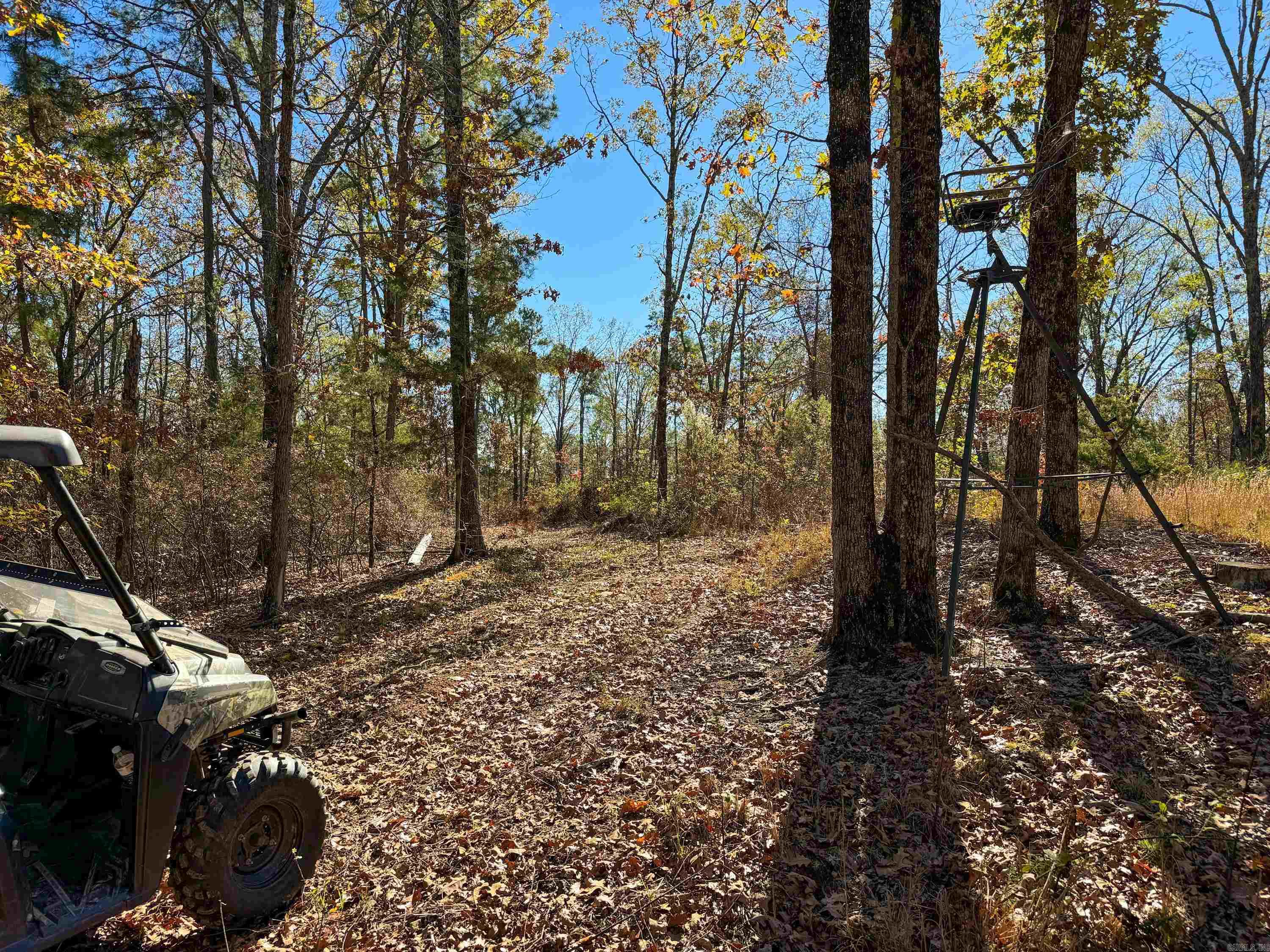 352 Sunset  Center Ridge, AR