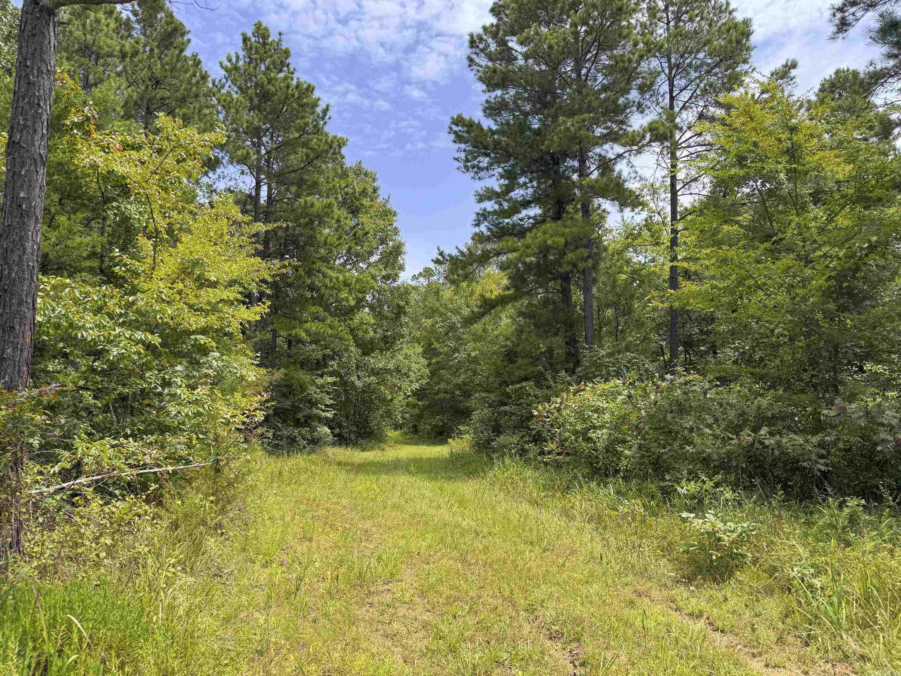 352 Sunset  Center Ridge, AR