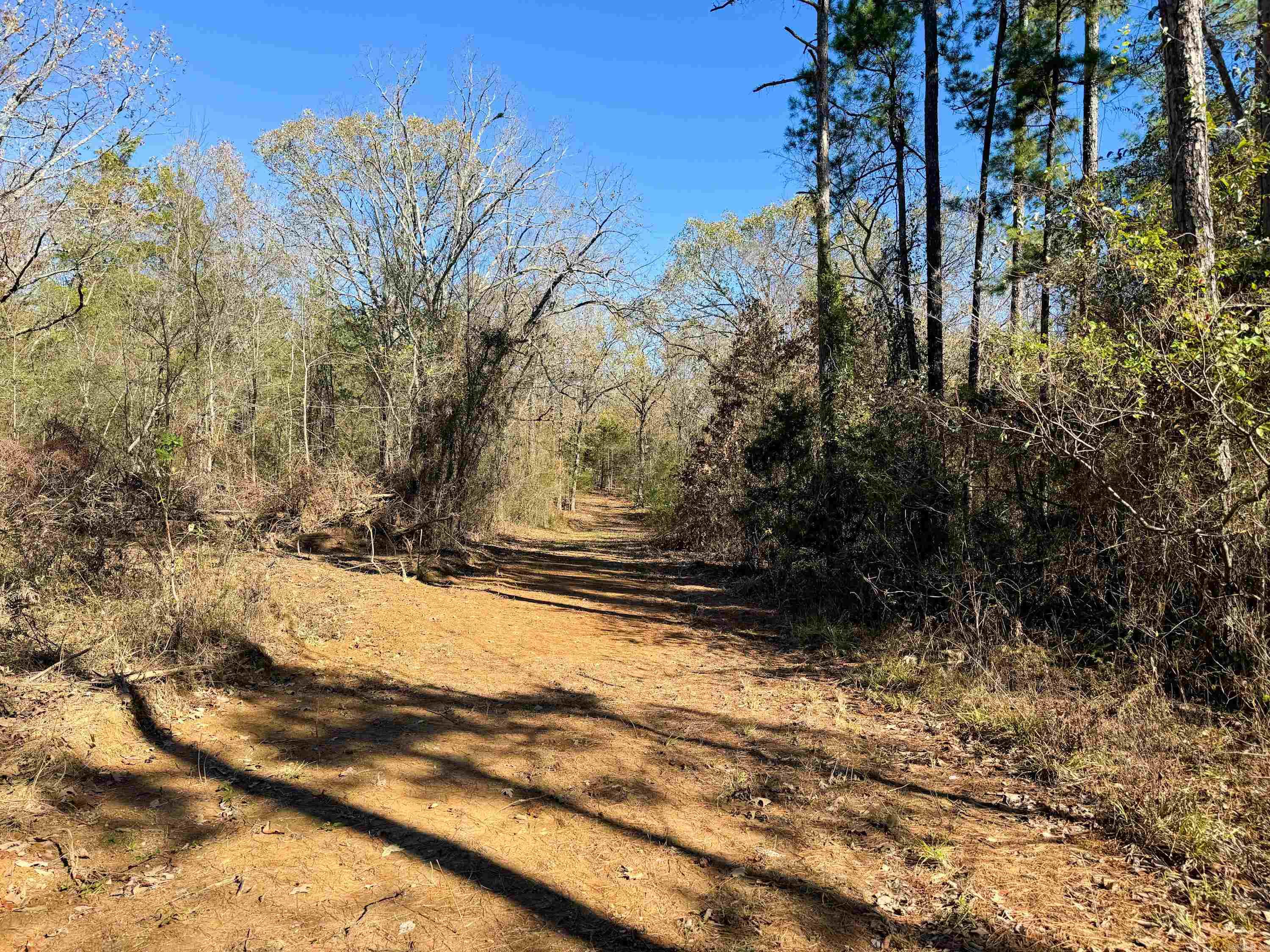 352 Sunset  Center Ridge, AR