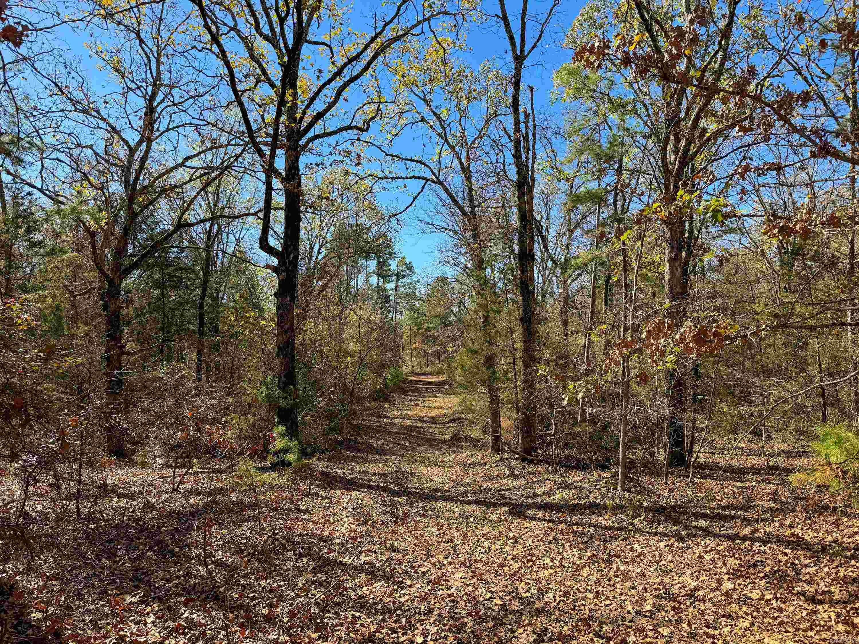 352 Sunset  Center Ridge, AR