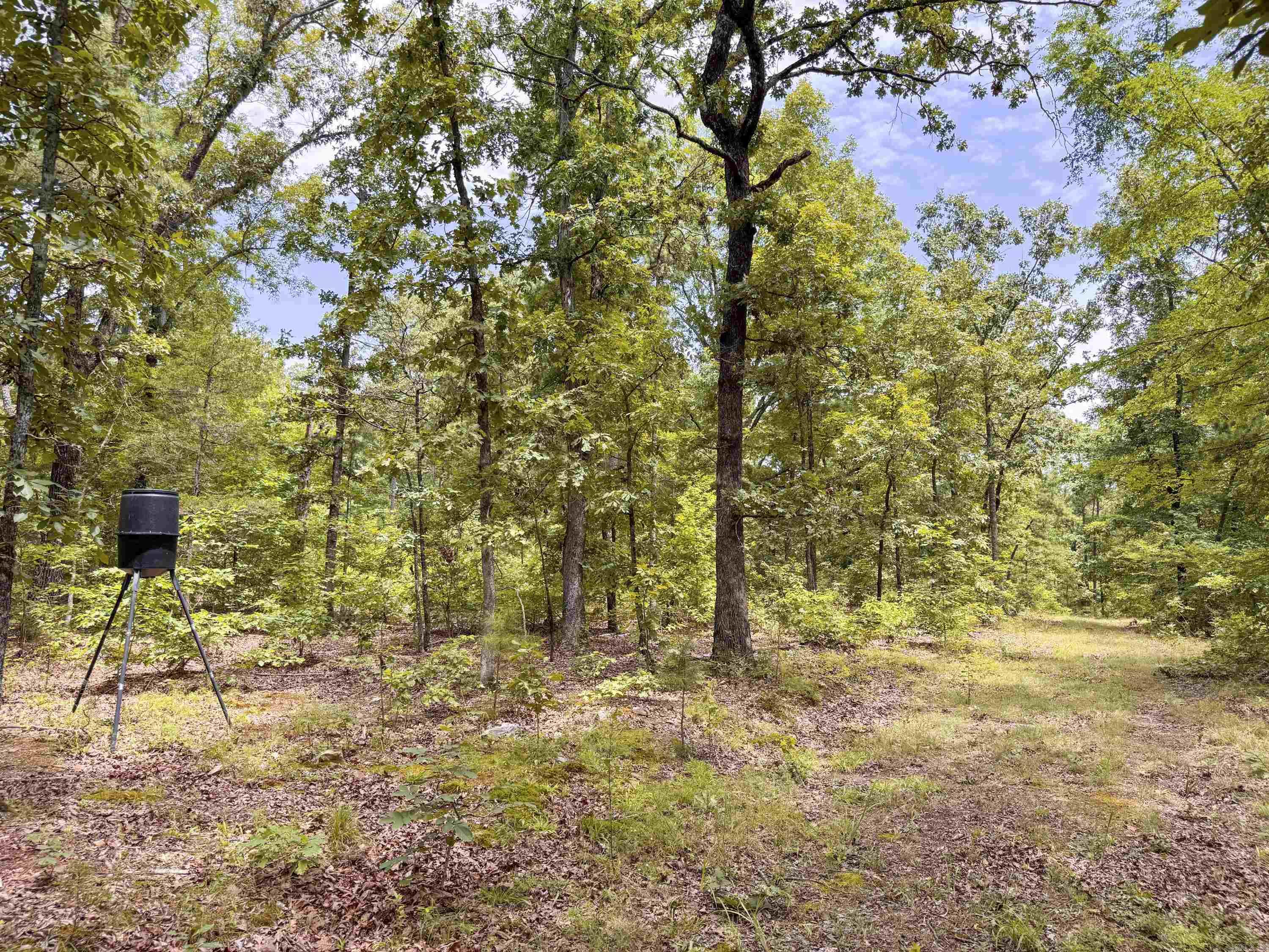 352 Sunset  Center Ridge, AR