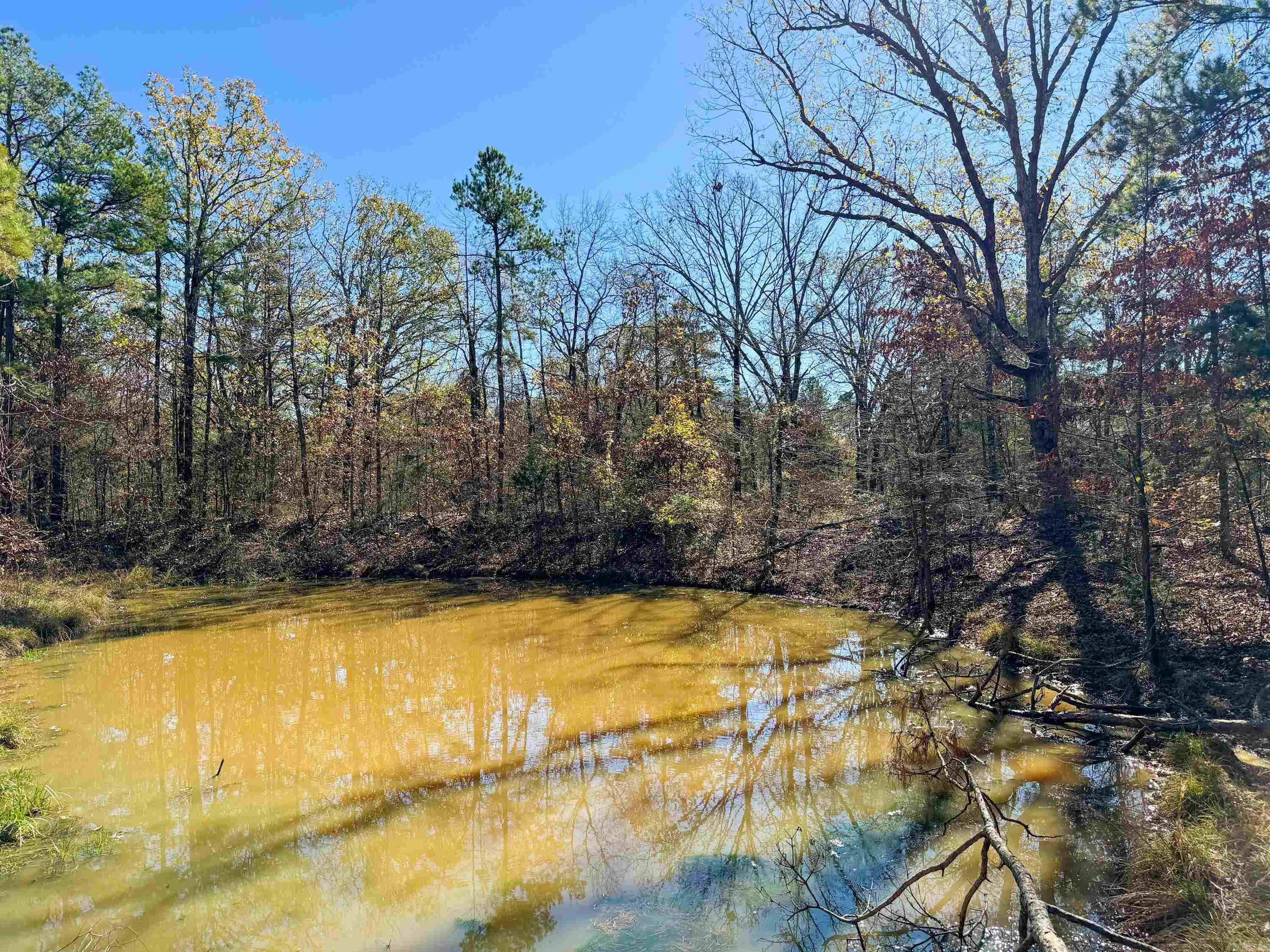 352 Sunset  Center Ridge, AR